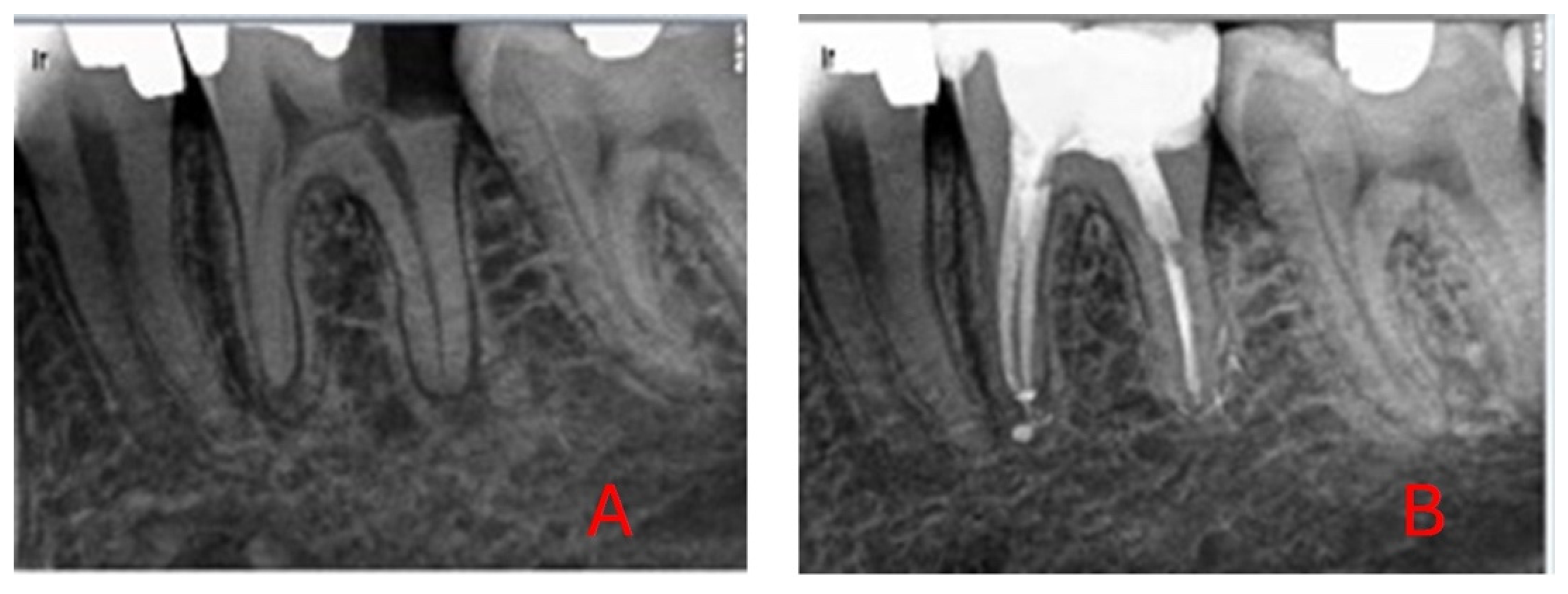 Diagnostics 15 01009 g001 Diagnostics 15 01009 g001