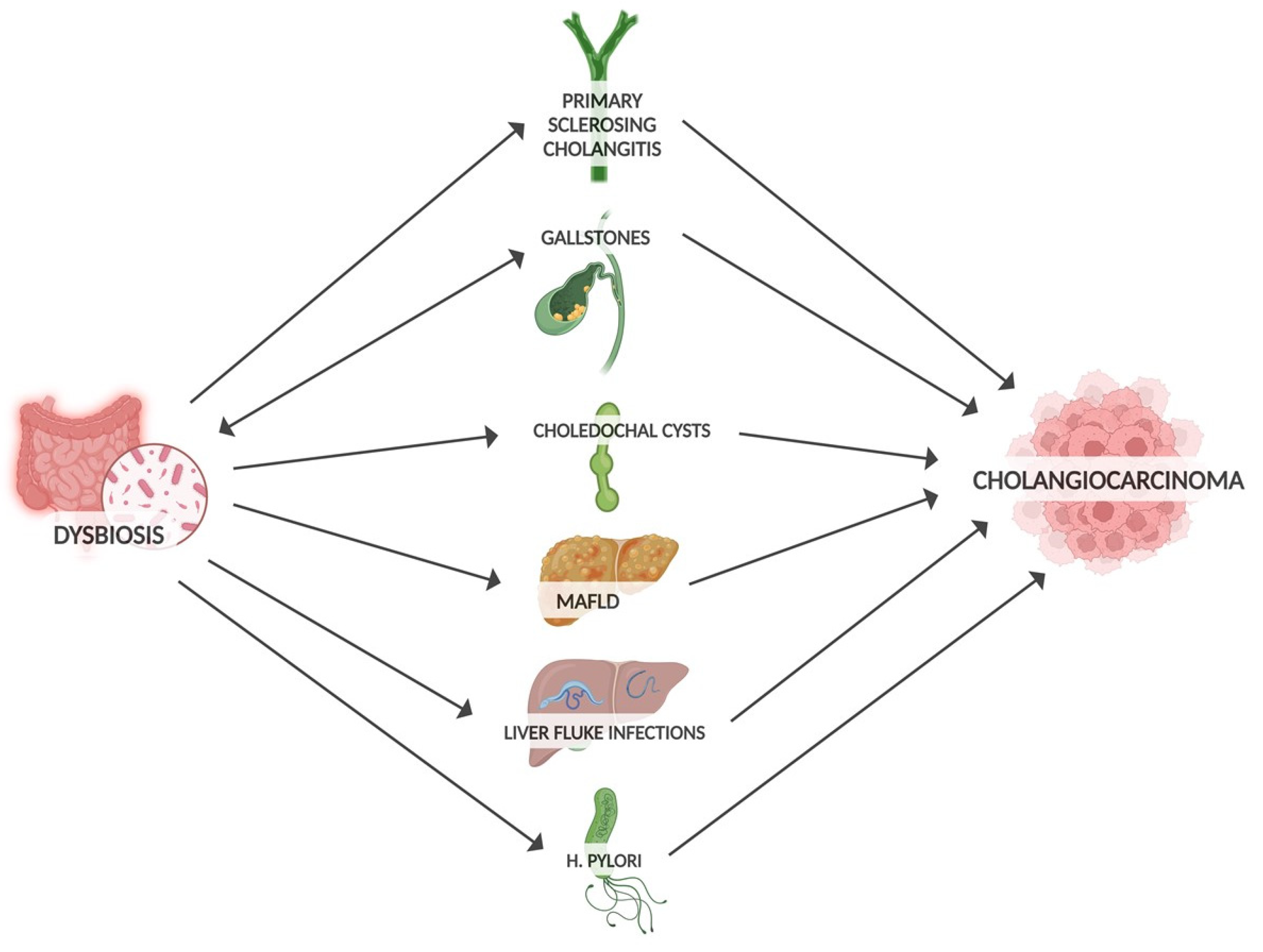 Diagnostics 15 01011 g001