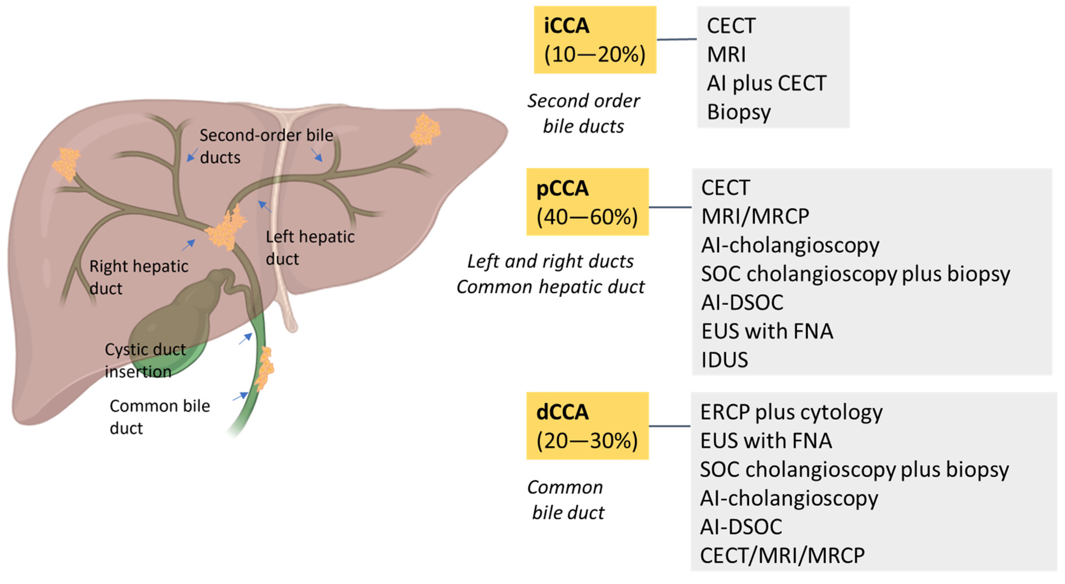 Diagnostics 15 01011 g002