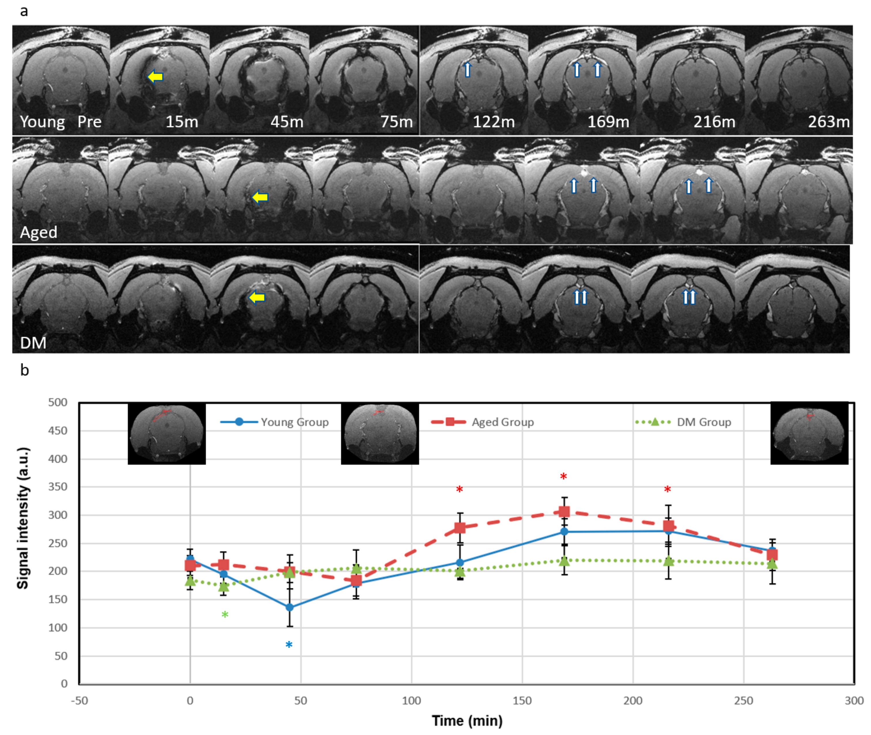 Diagnostics 15 01019 g002 Diagnostics 15 01019 g002