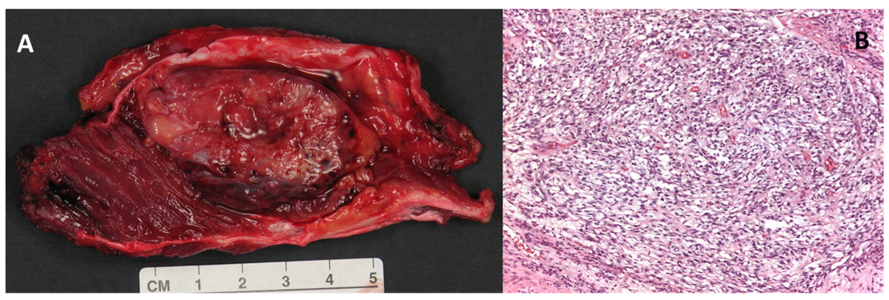 Diagnostics 15 01027 g001