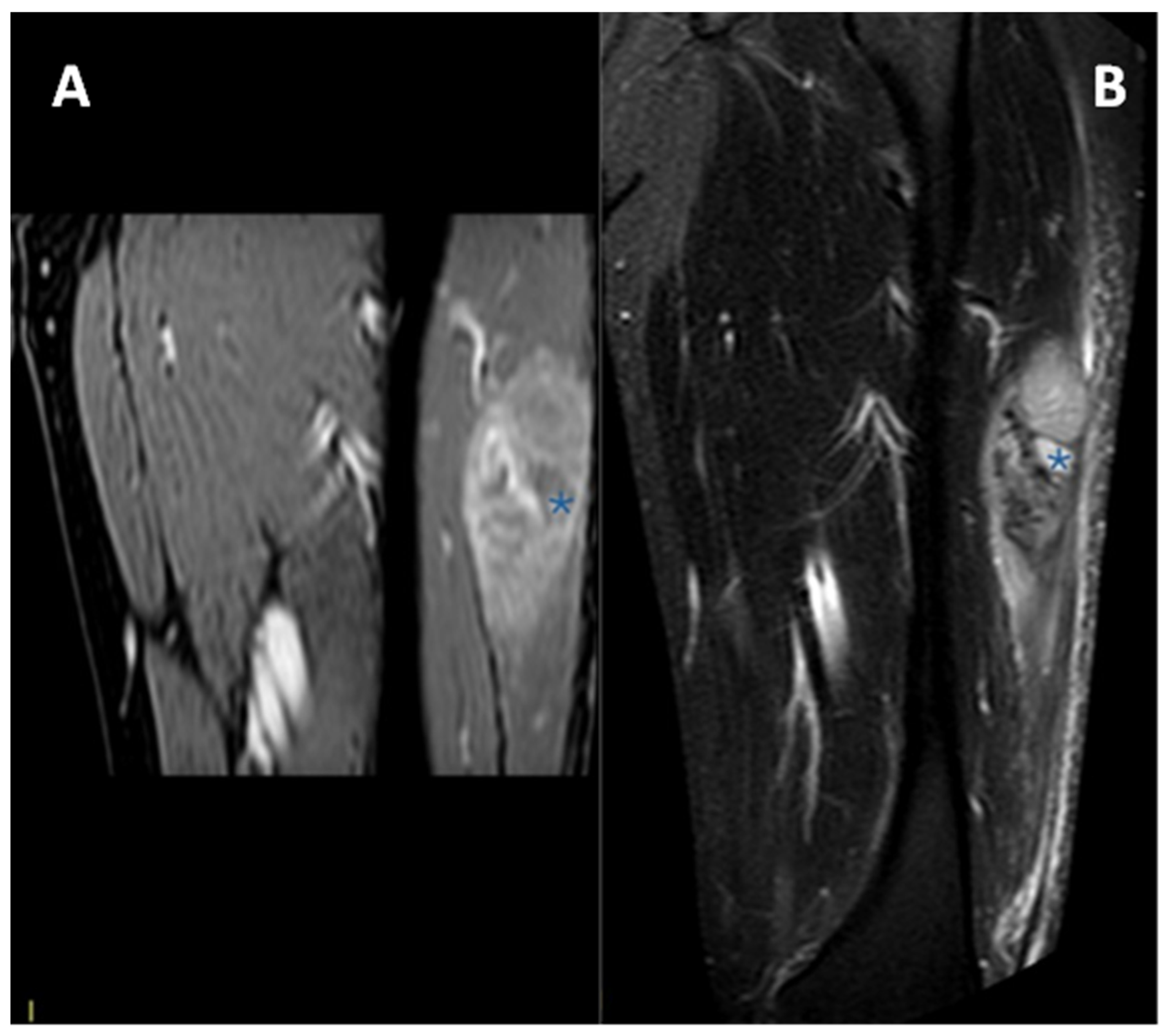 Diagnostics 15 01027 g005