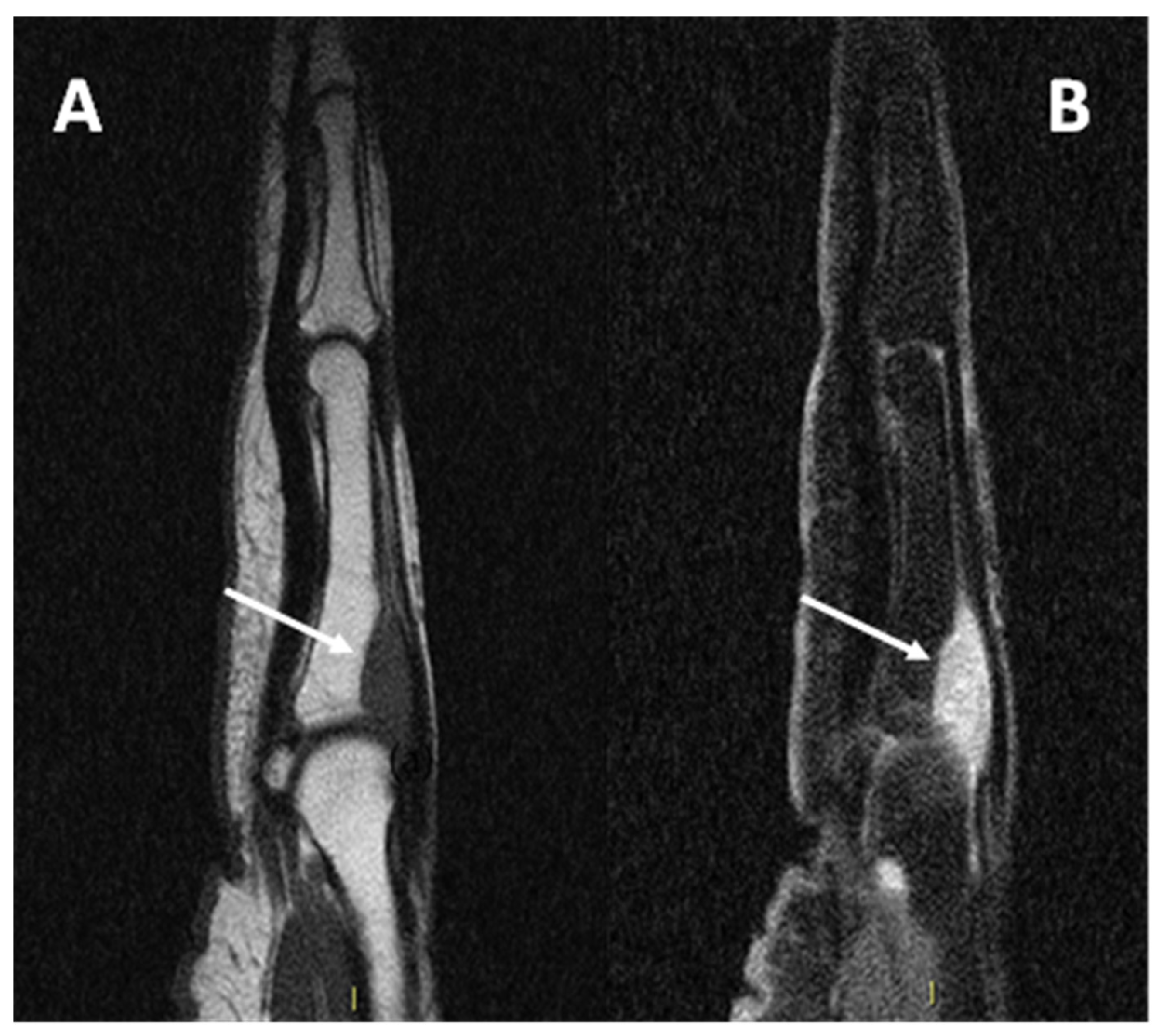 Diagnostics 15 01027 g008
