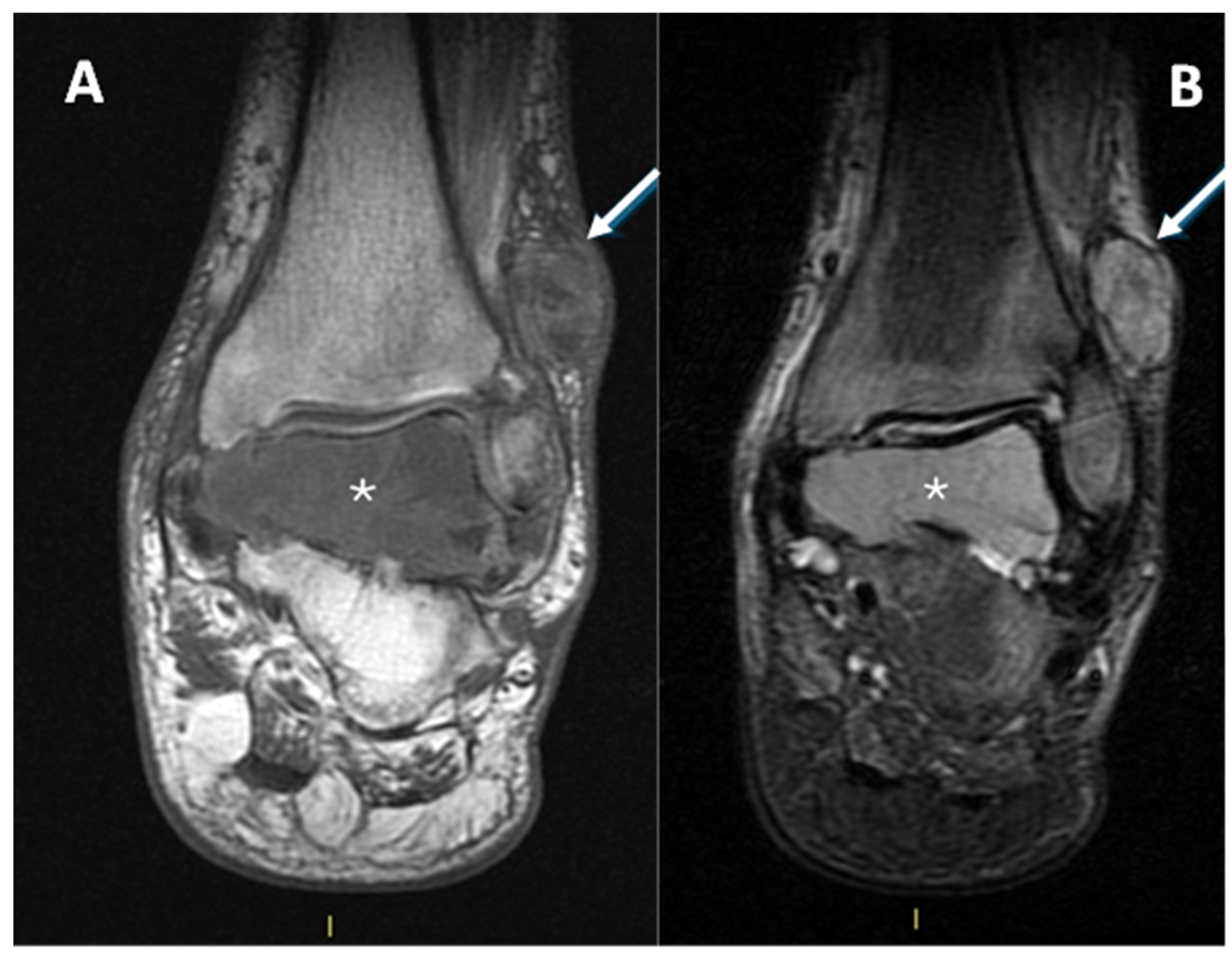 Diagnostics 15 01027 g009