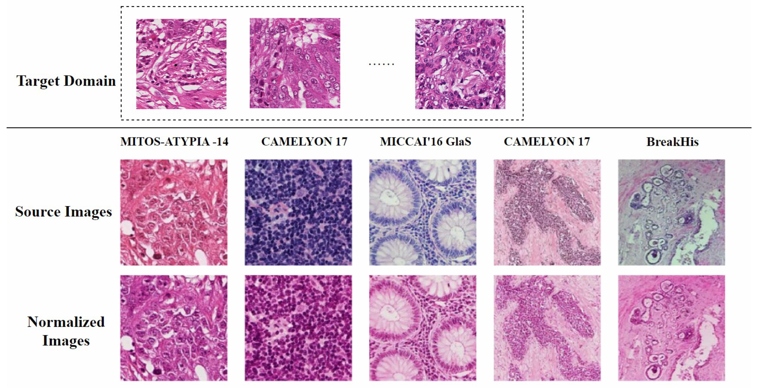 Diagnostics 15 01032 g002
