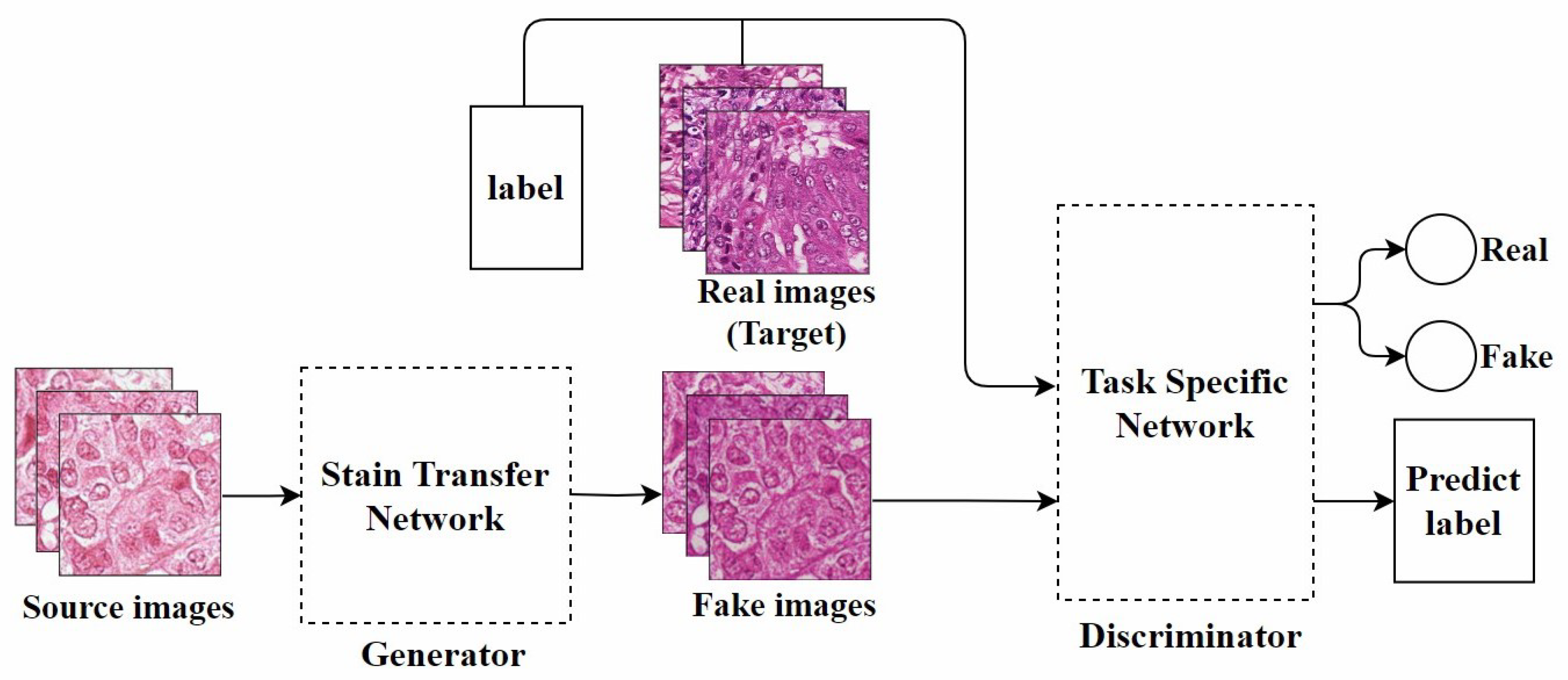Diagnostics 15 01032 g004