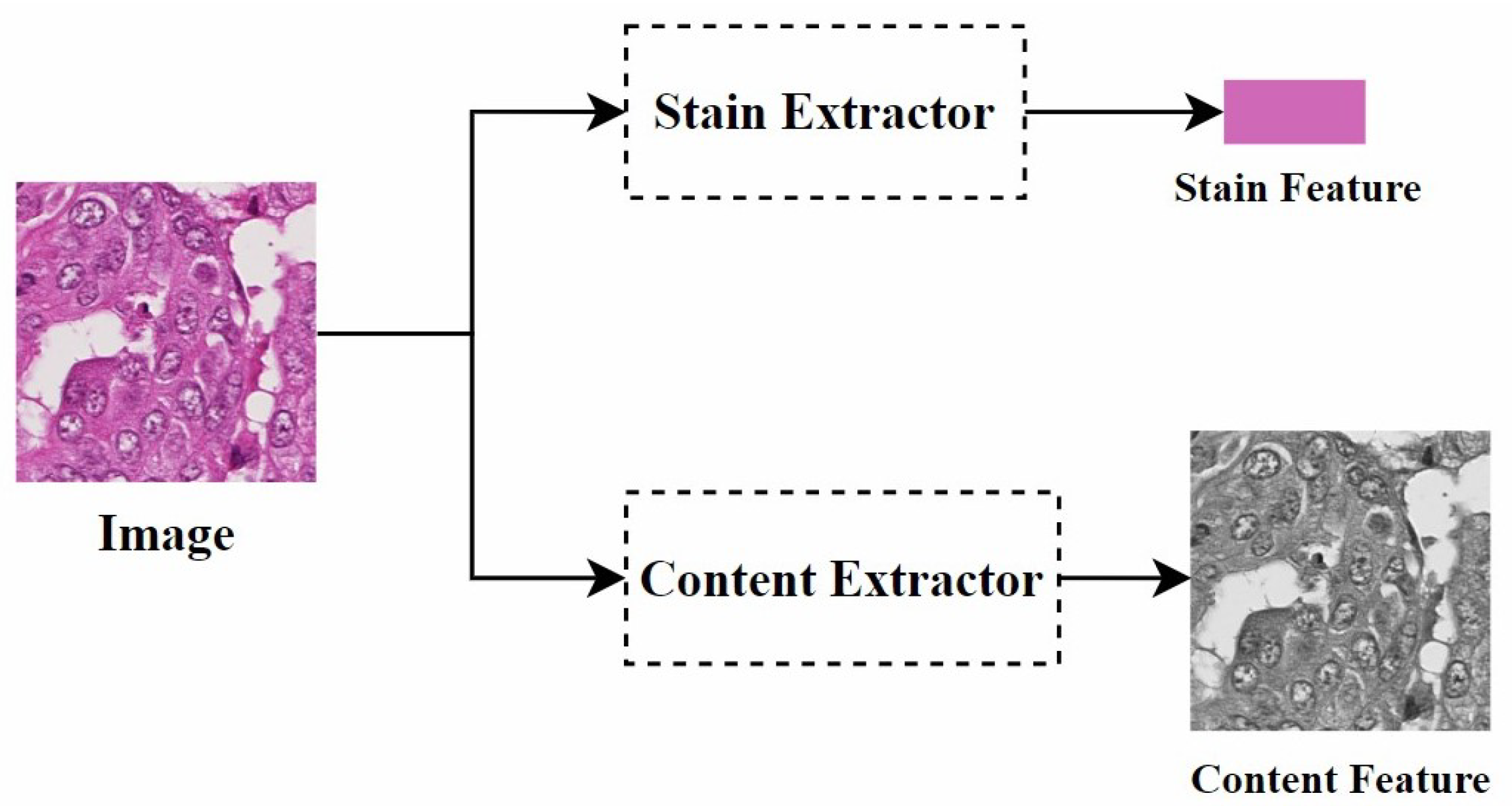 Diagnostics 15 01032 g008