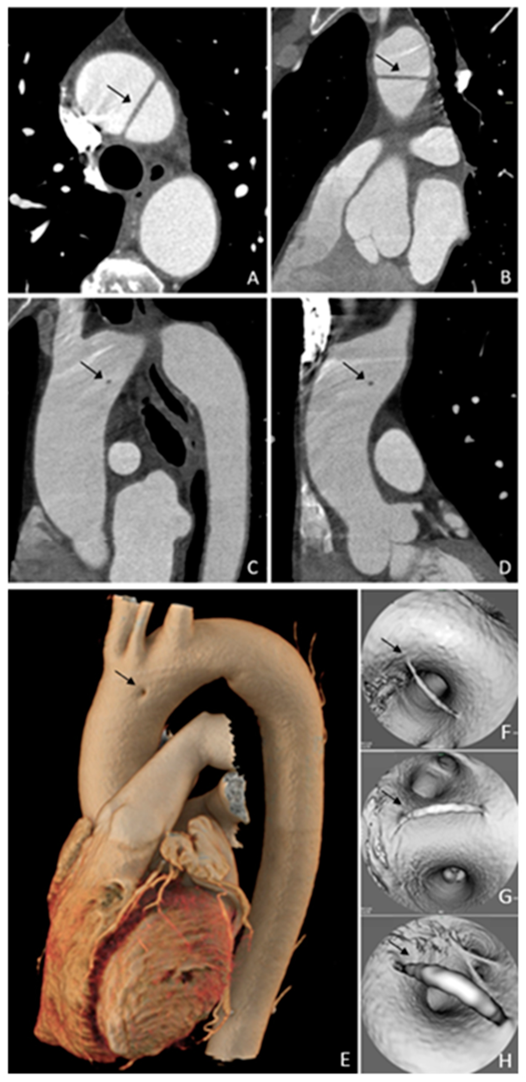 Diagnostics 15 01036 g001