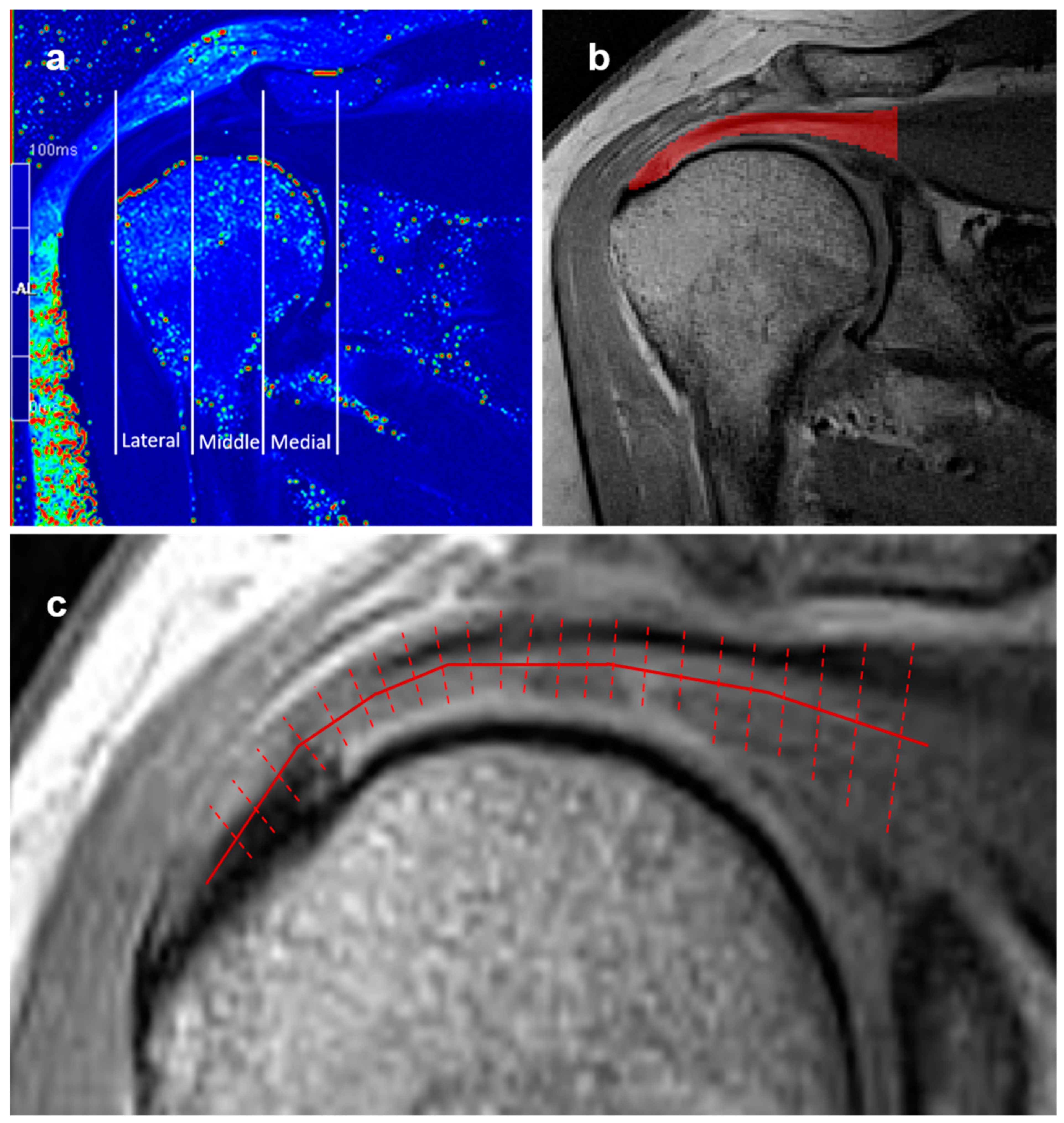 Diagnostics 15 01049 g002