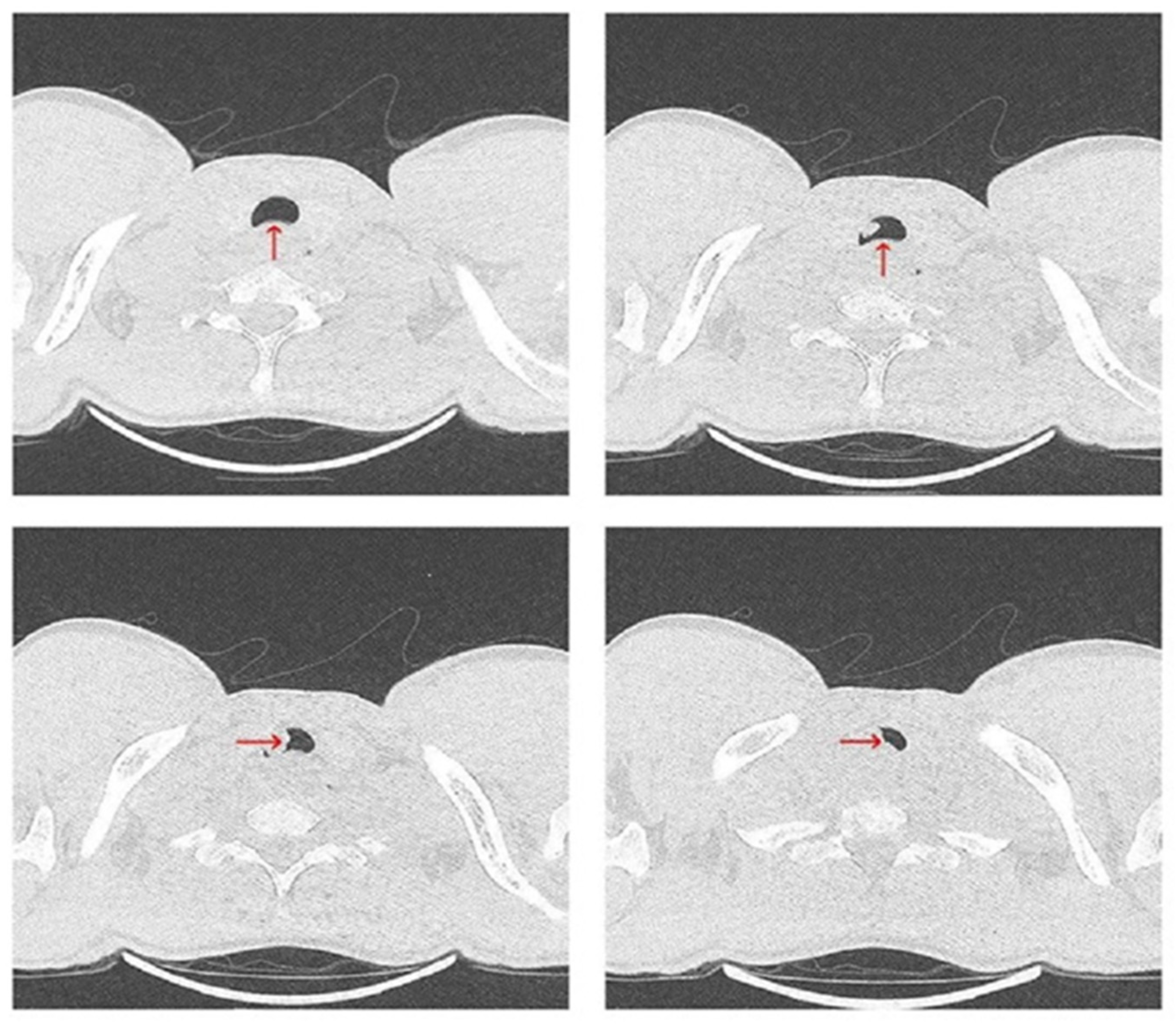 Diagnostics 15 01056 g003