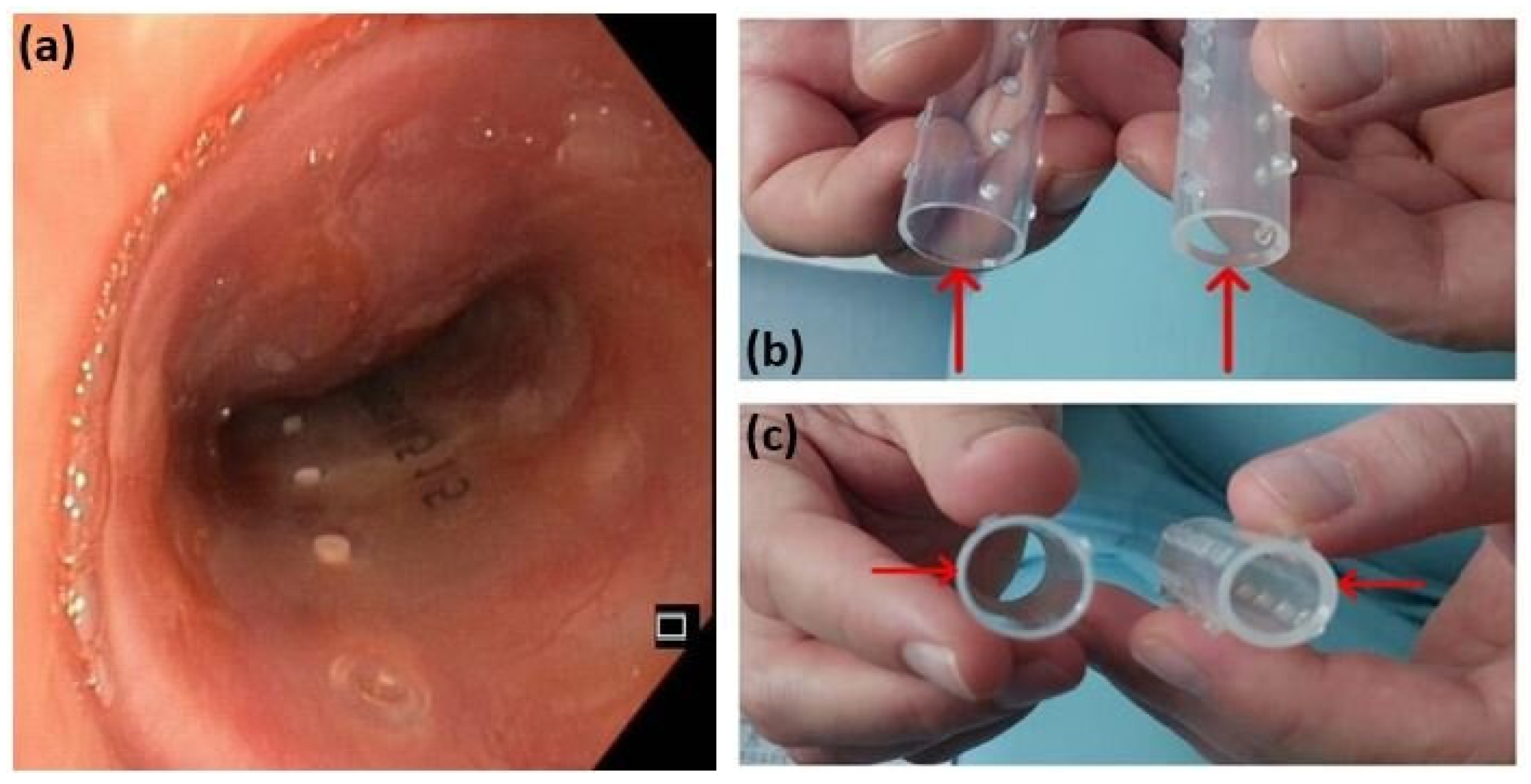Diagnostics 15 01056 g006