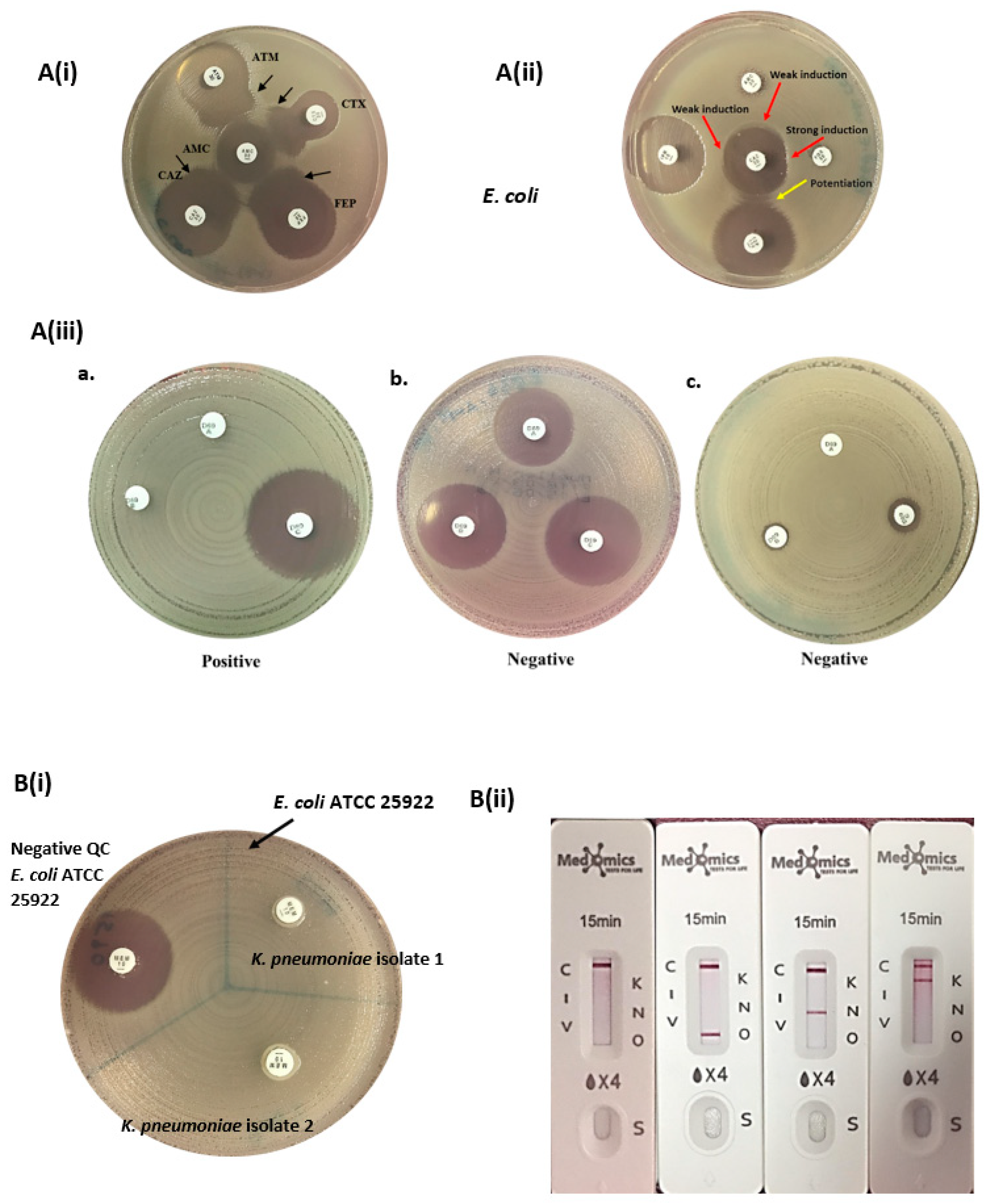 Diagnostics 15 01062 g001