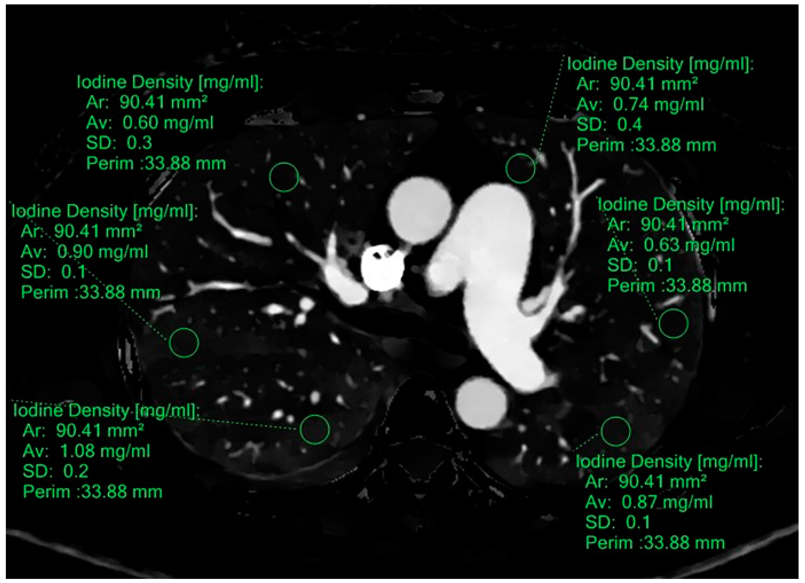 Diagnostics 15 01069 g002