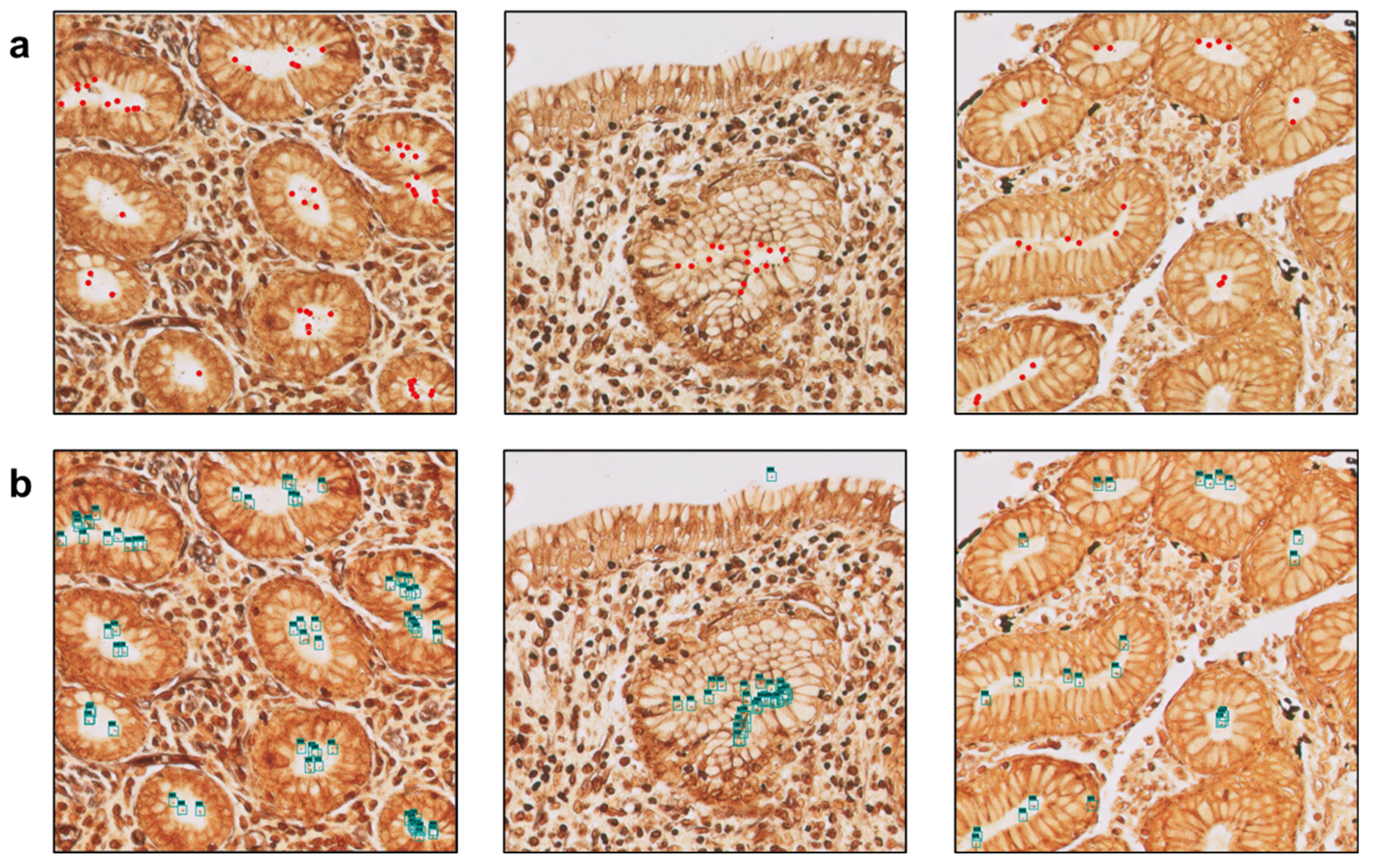 Diagnostics 15 01085 g001