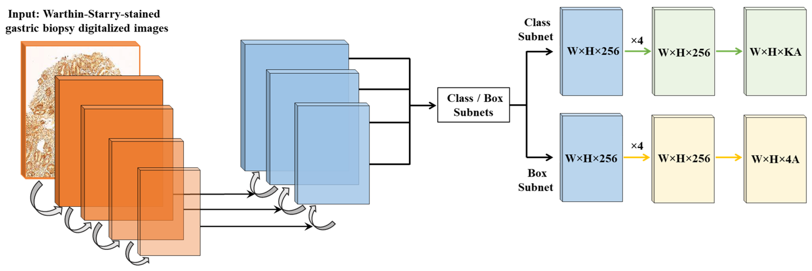 Diagnostics 15 01085 g002