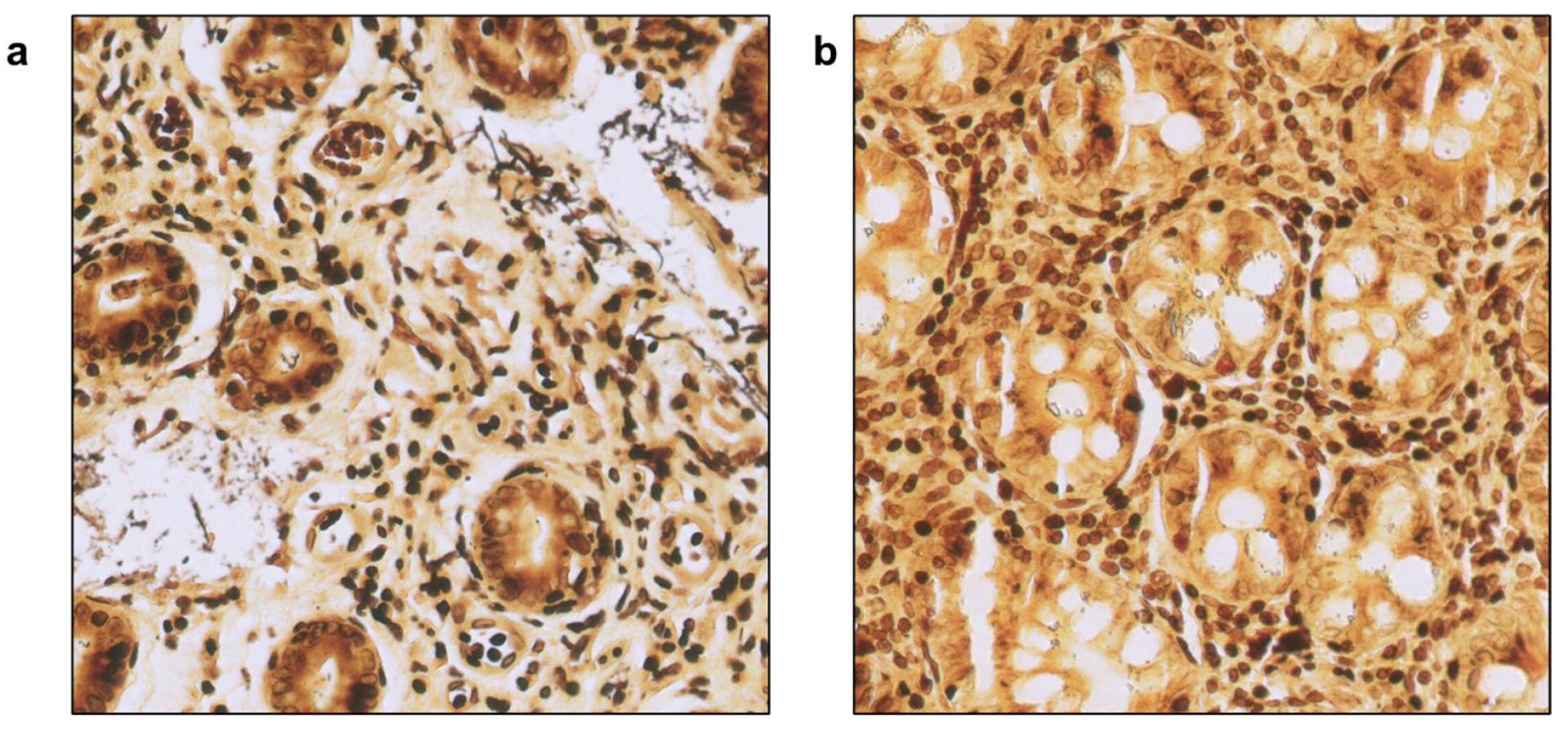 Diagnostics 15 01085 g007