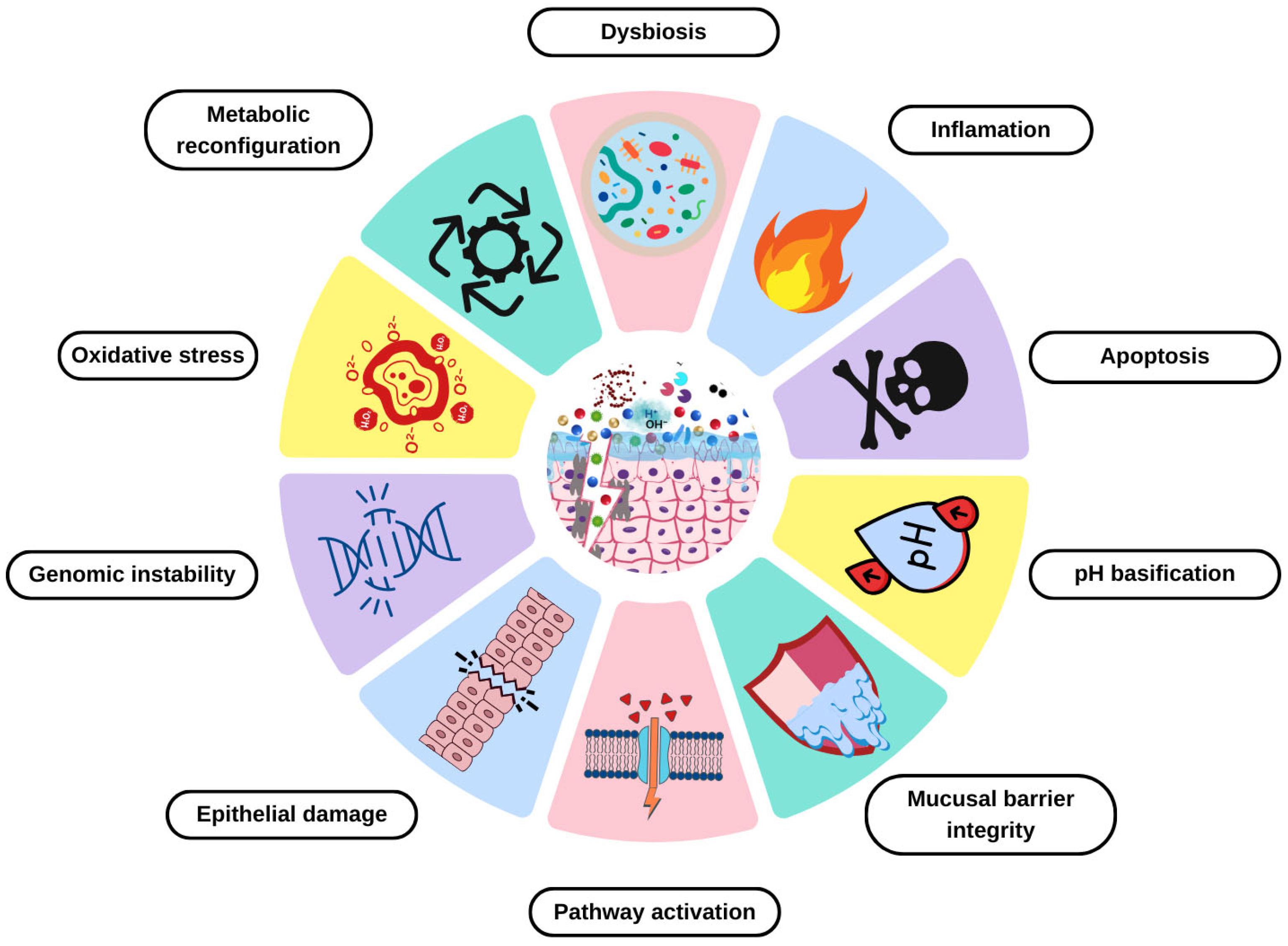 Diagnostics 15 01090 g001