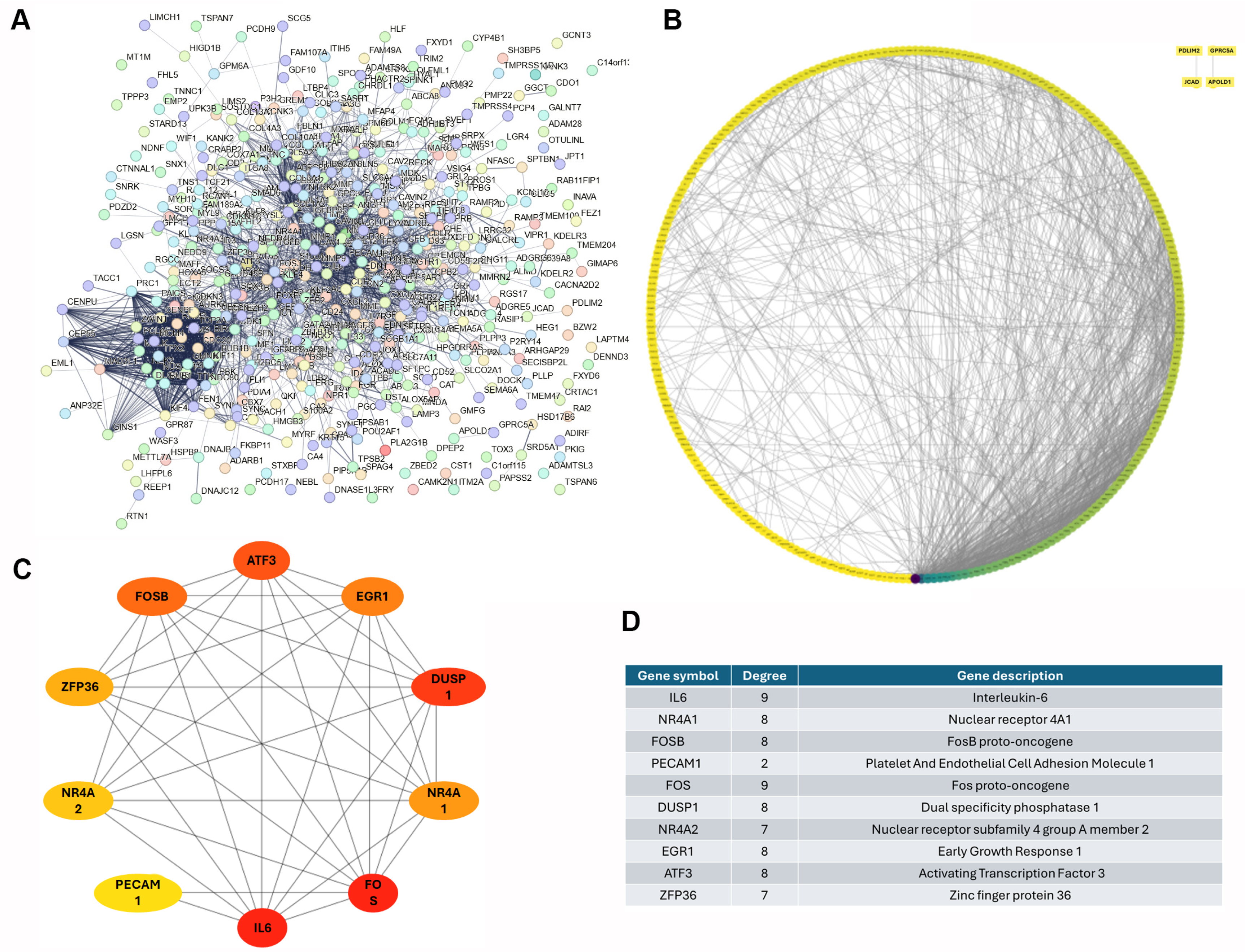 Diagnostics 15 01094 g004