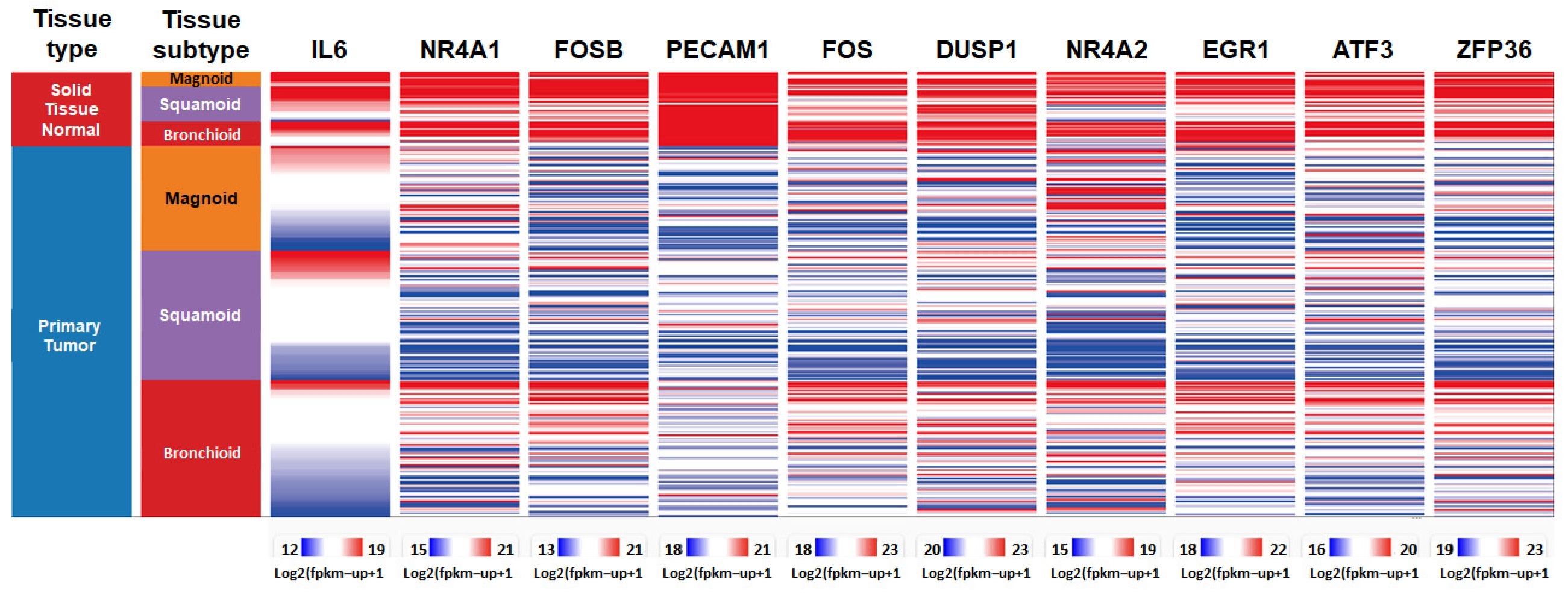 Diagnostics 15 01094 g007