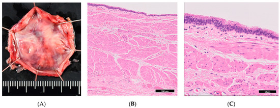 Diagnostics 15 01107 g002