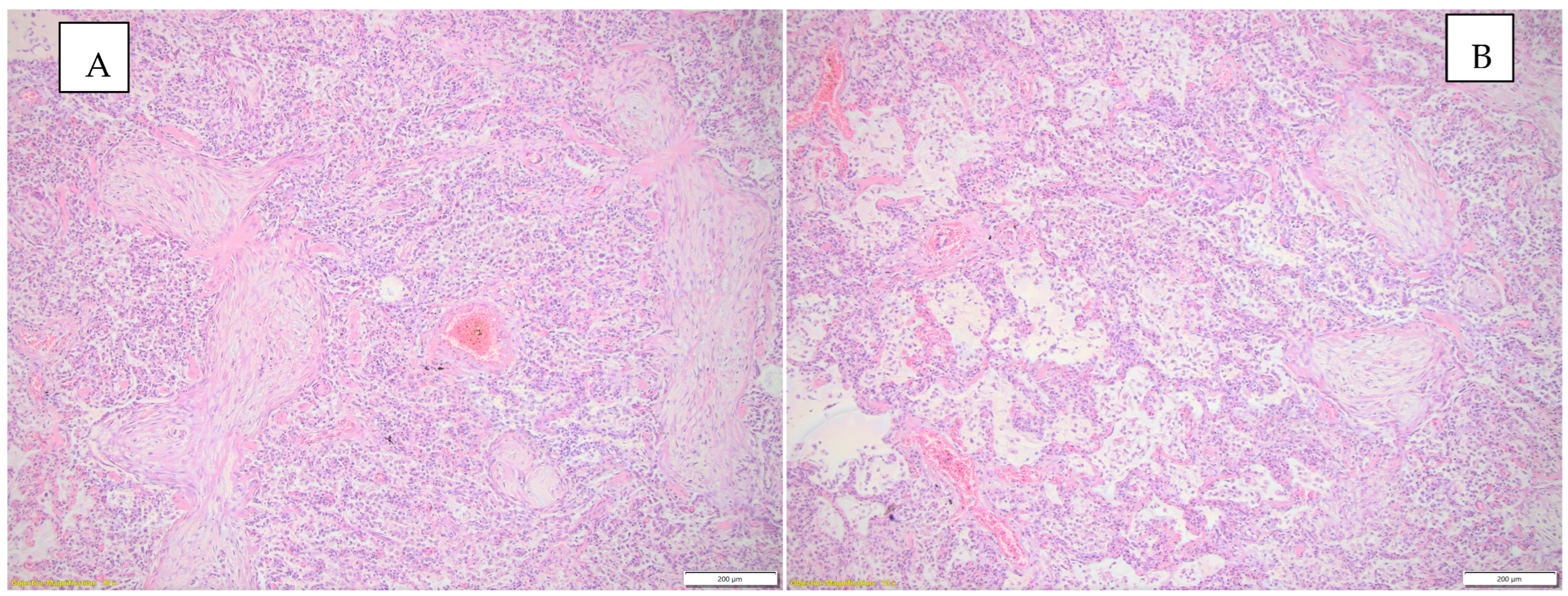 Diagnostics 15 01108 g002
