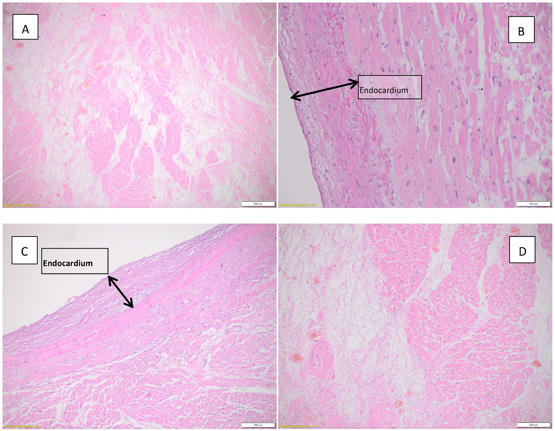 Diagnostics 15 01108 g003