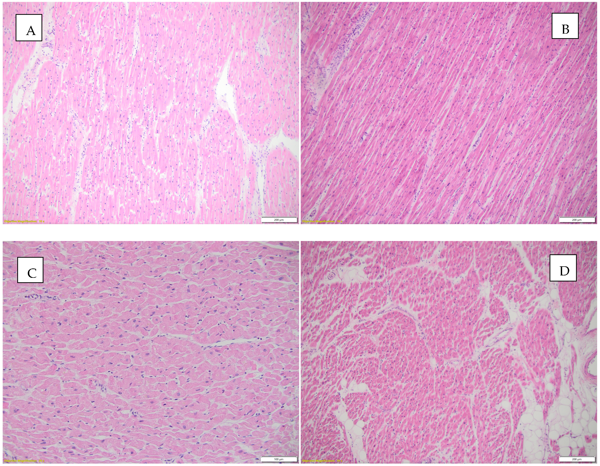 Diagnostics 15 01108 g006