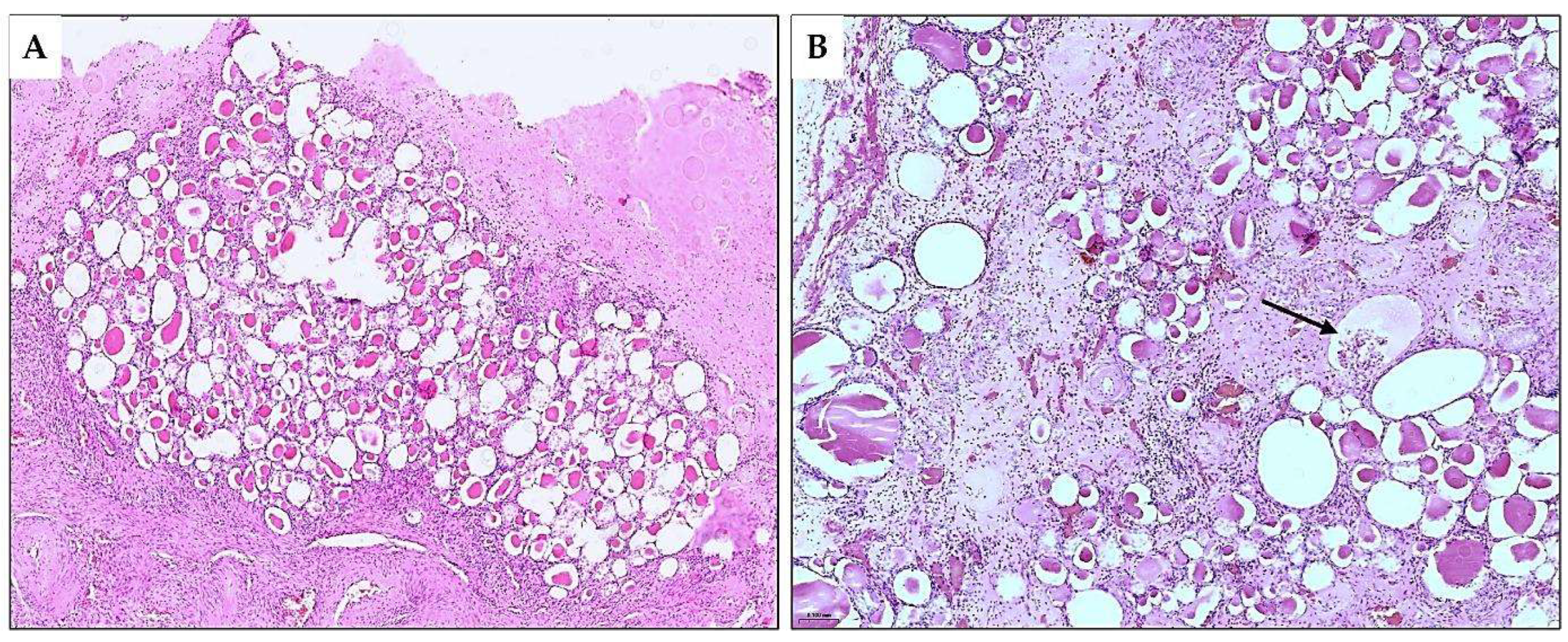 Diagnostics 15 01111 g005