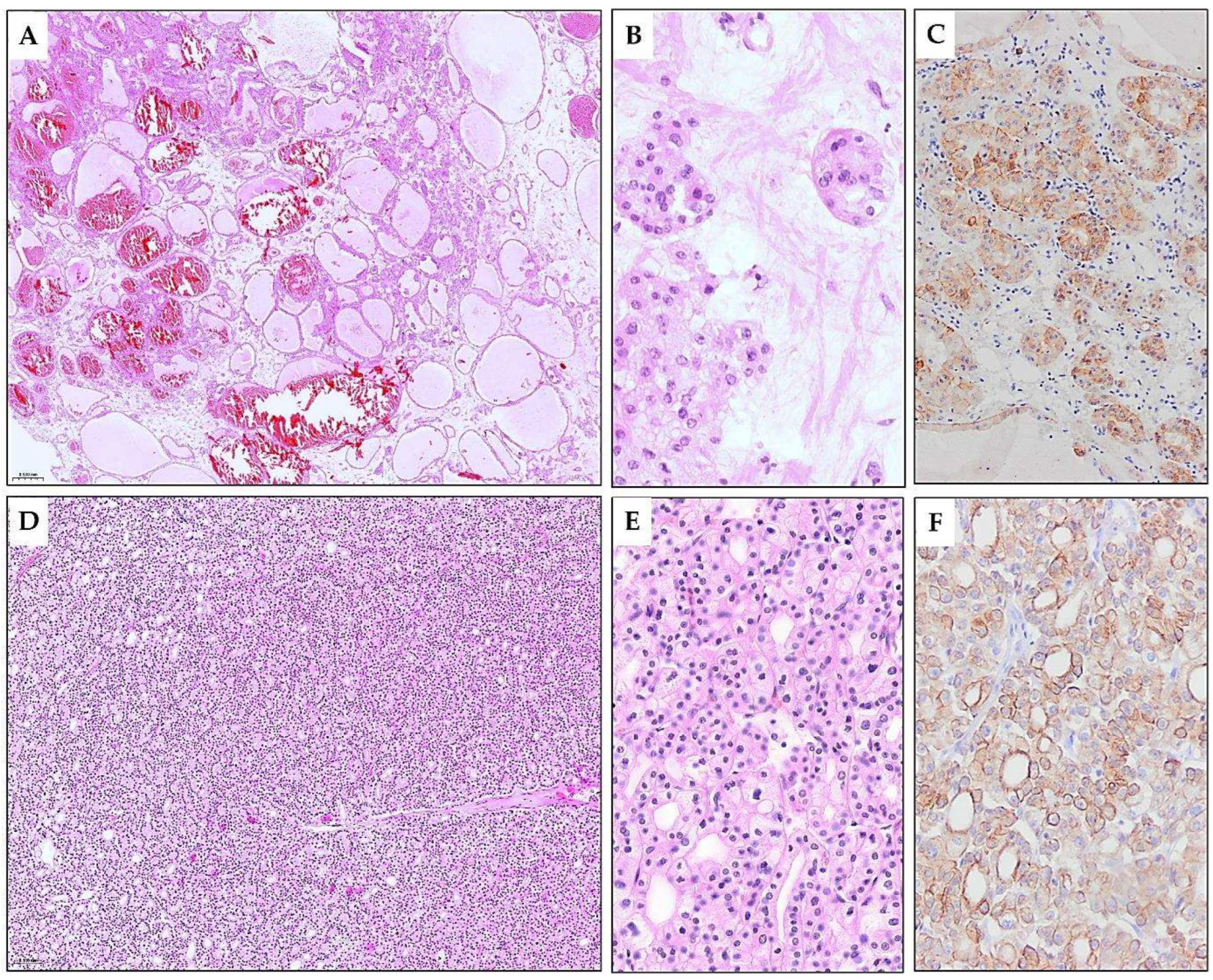 Diagnostics 15 01111 g006