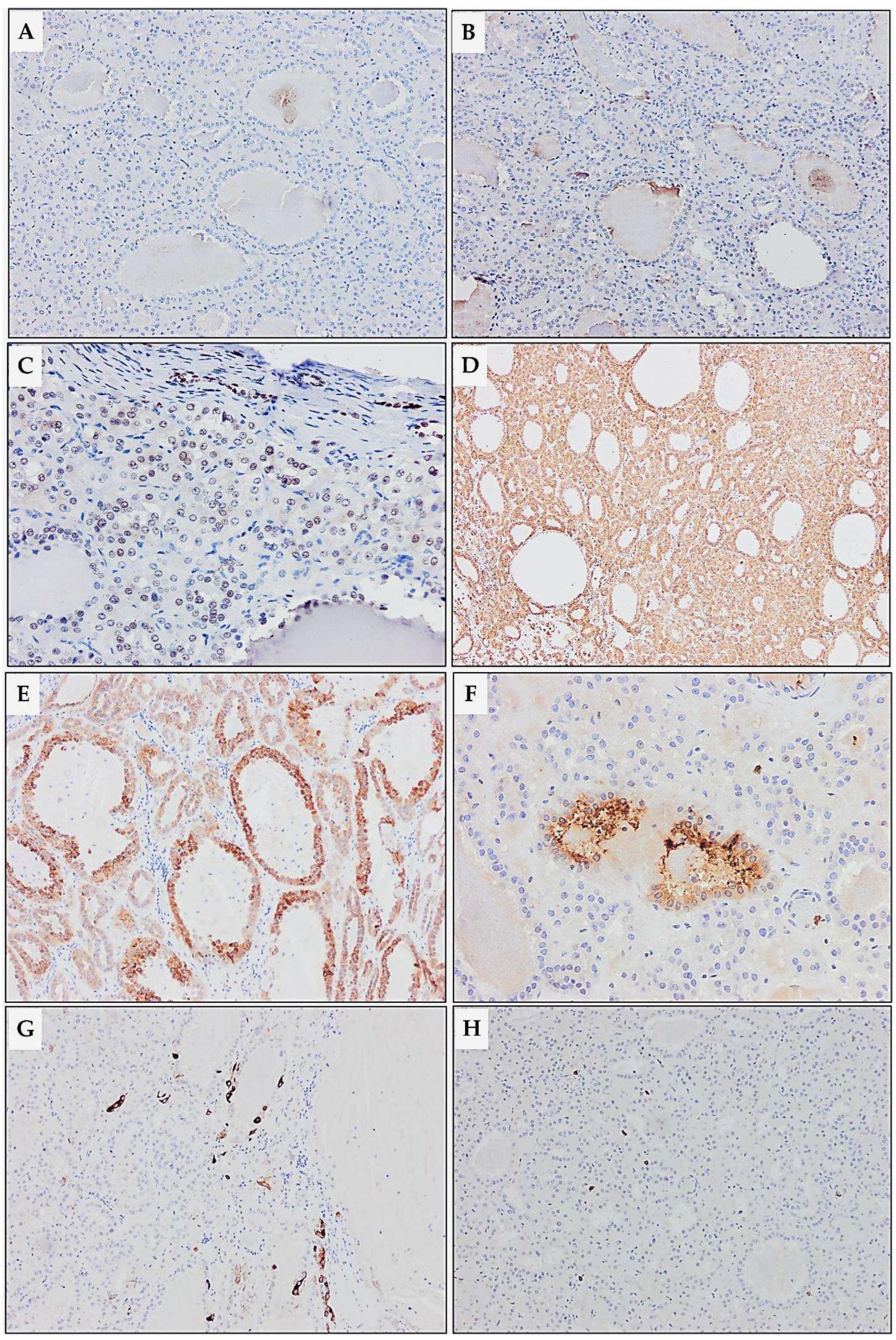 Diagnostics 15 01111 g008