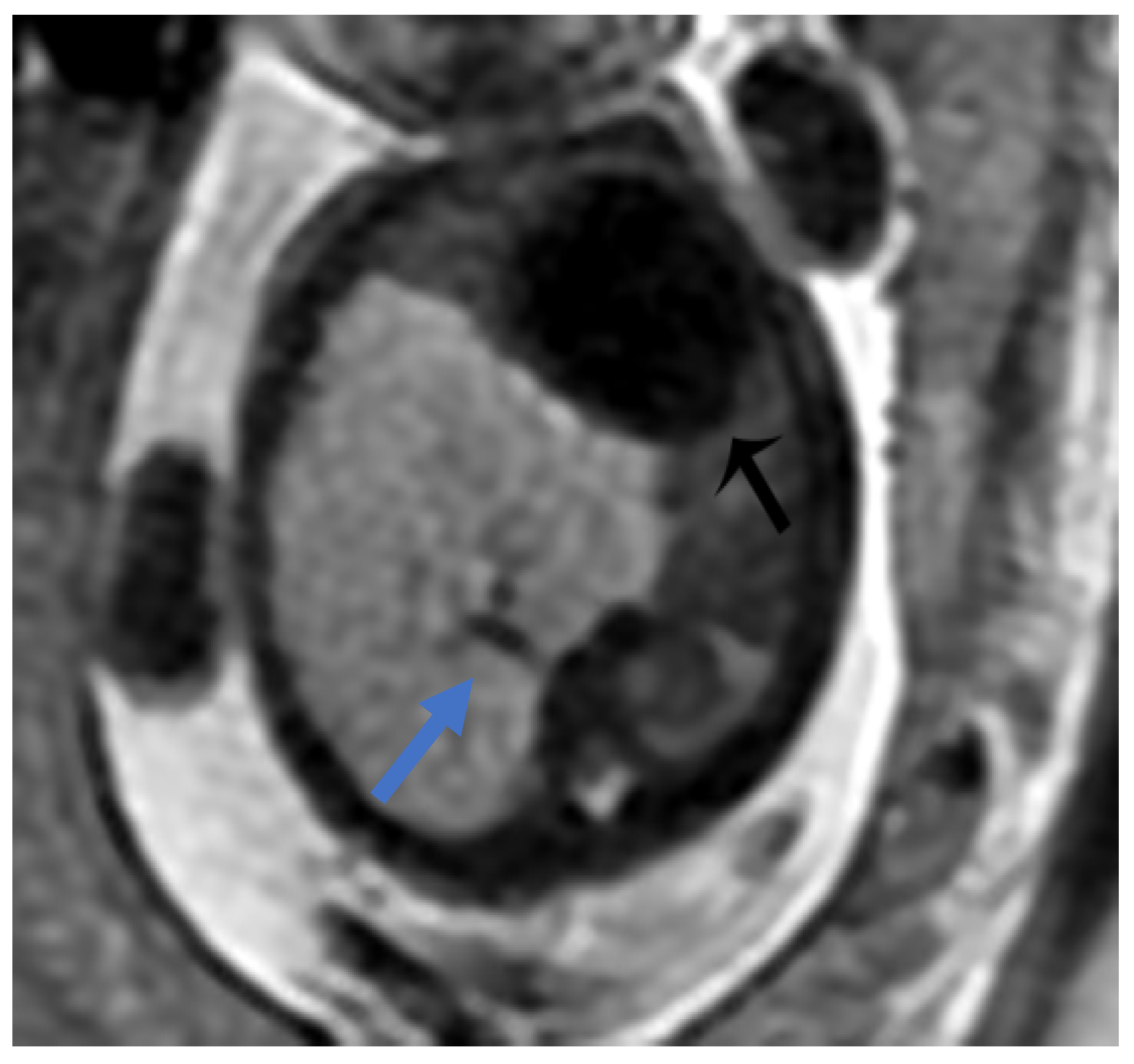 Diagnostics 15 01112 g007