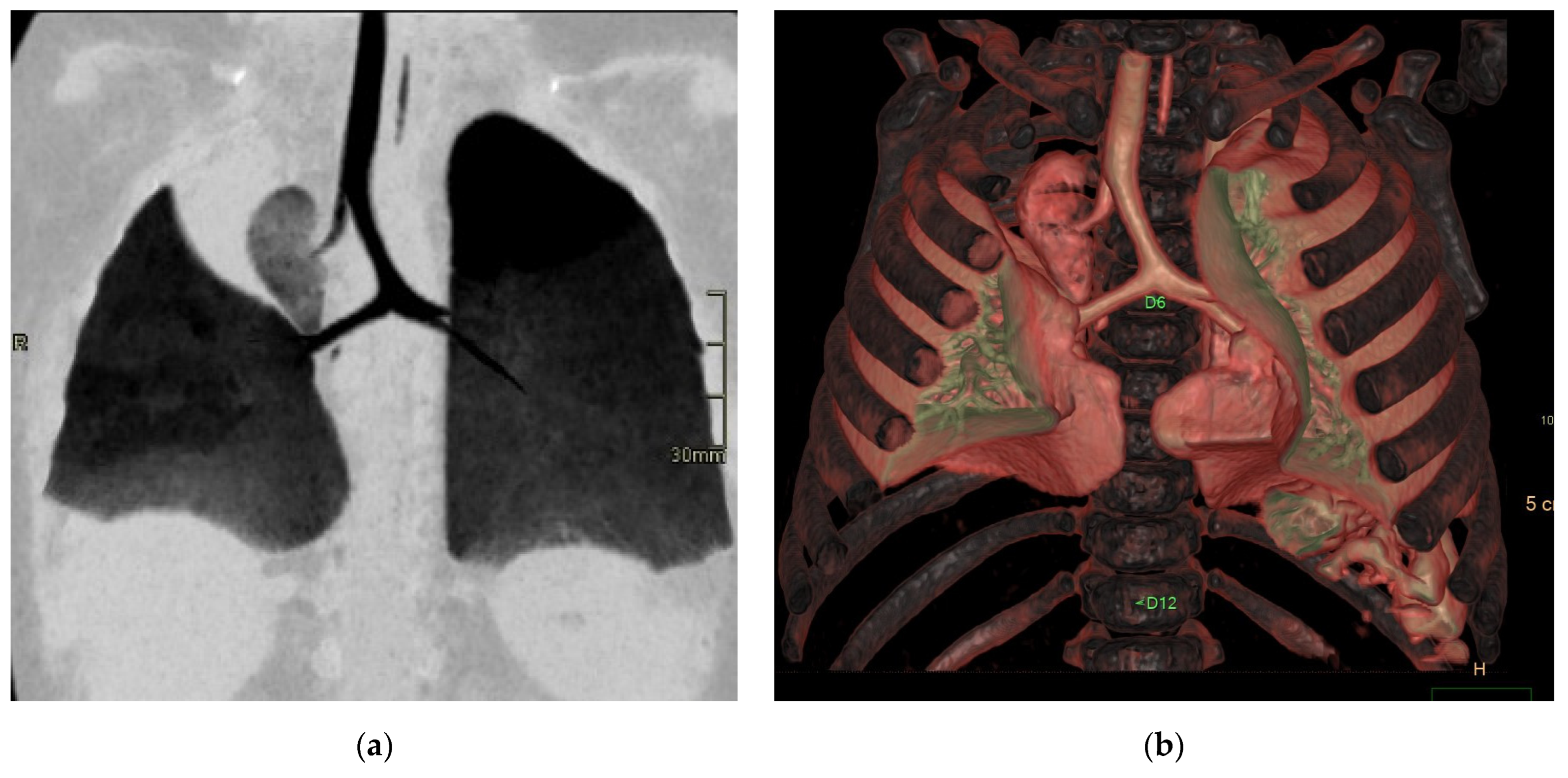 Diagnostics 15 01112 g009