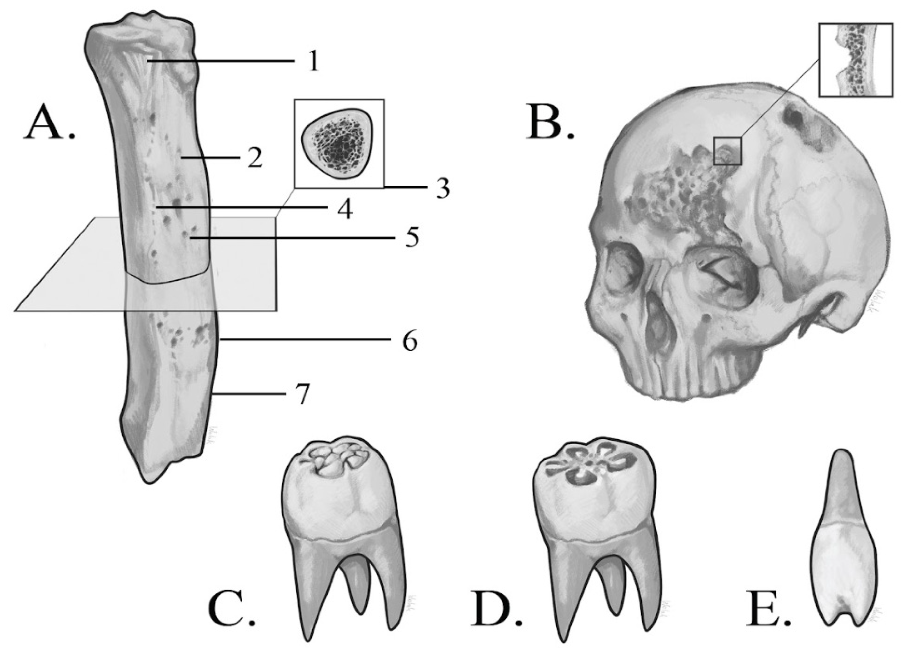 Diagnostics 15 01116 g002