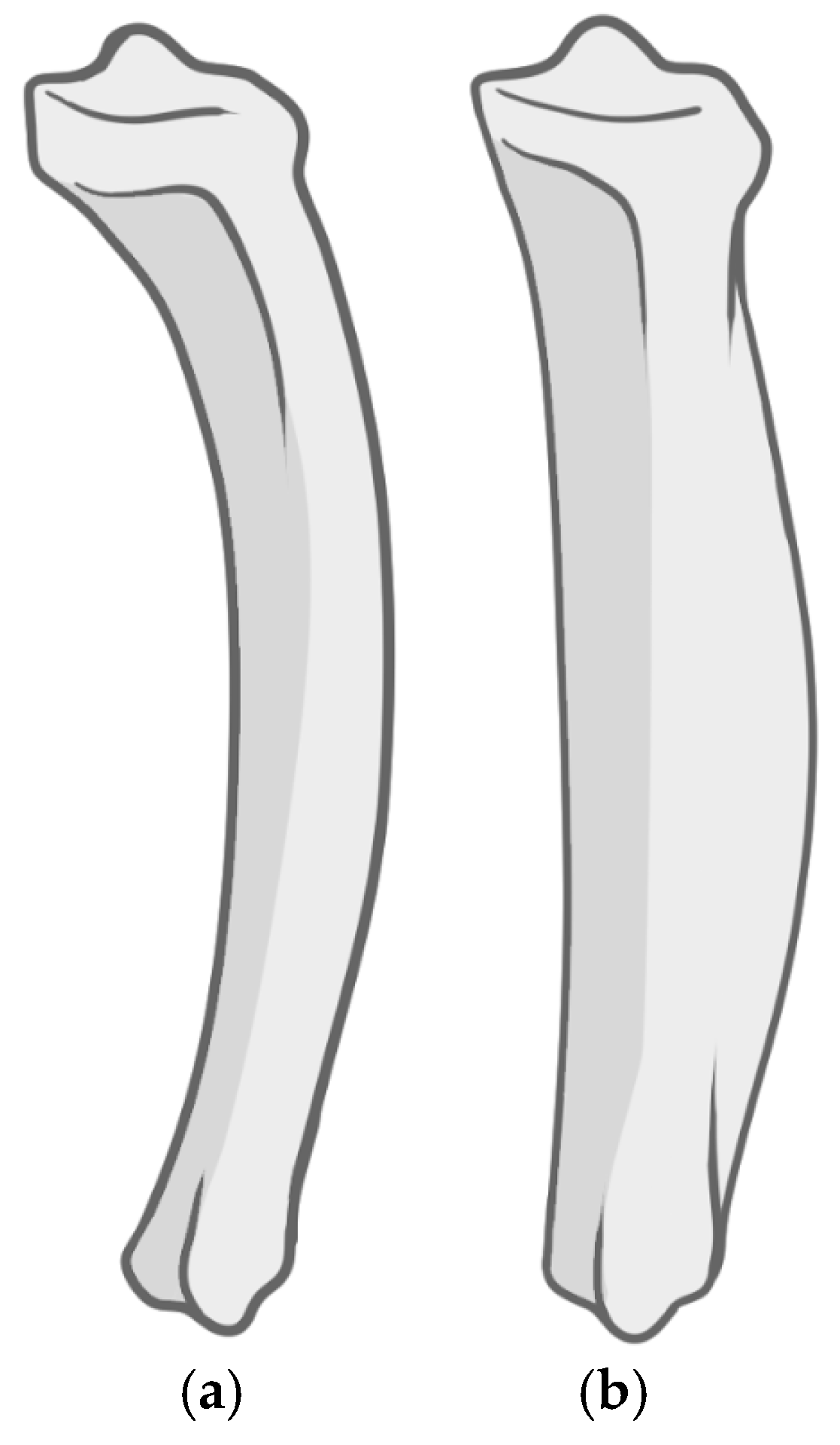 Diagnostics 15 01116 g003