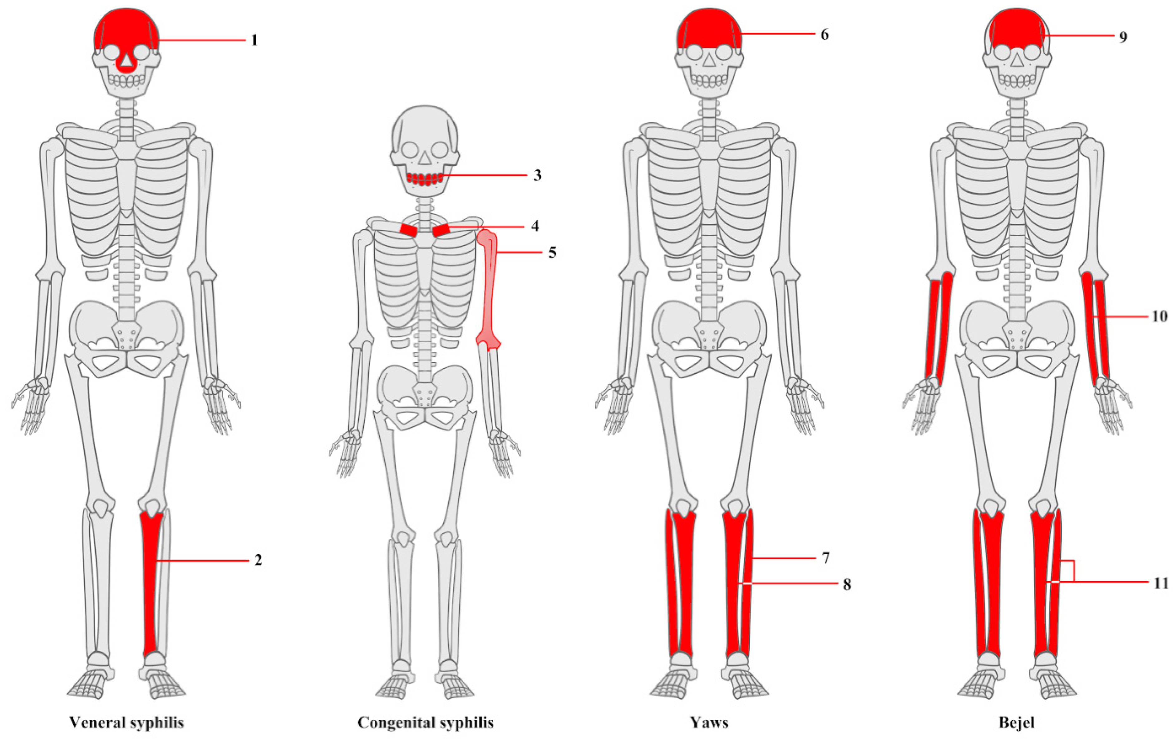 Diagnostics 15 01116 g004