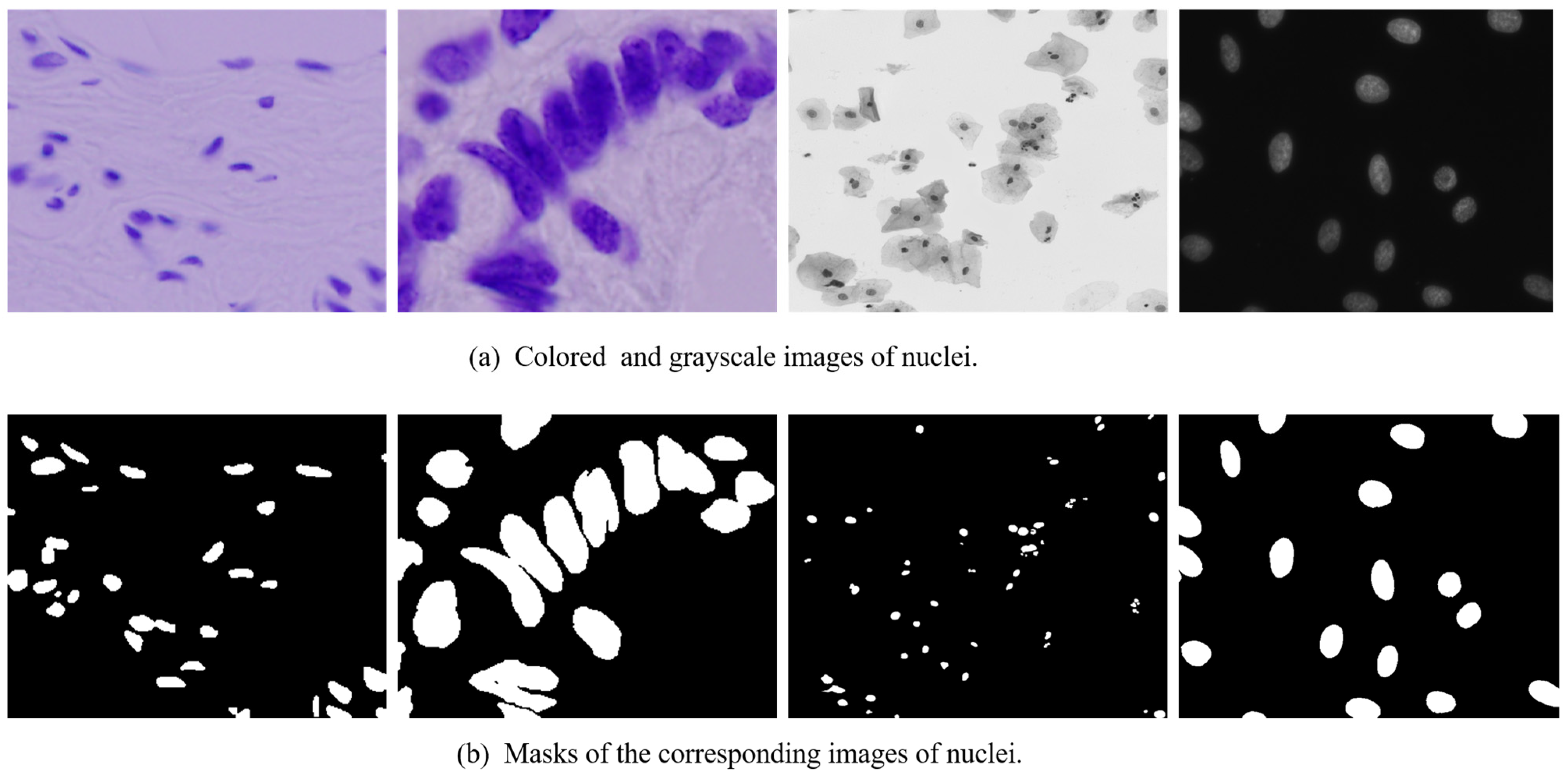 Diagnostics 15 01120 g002