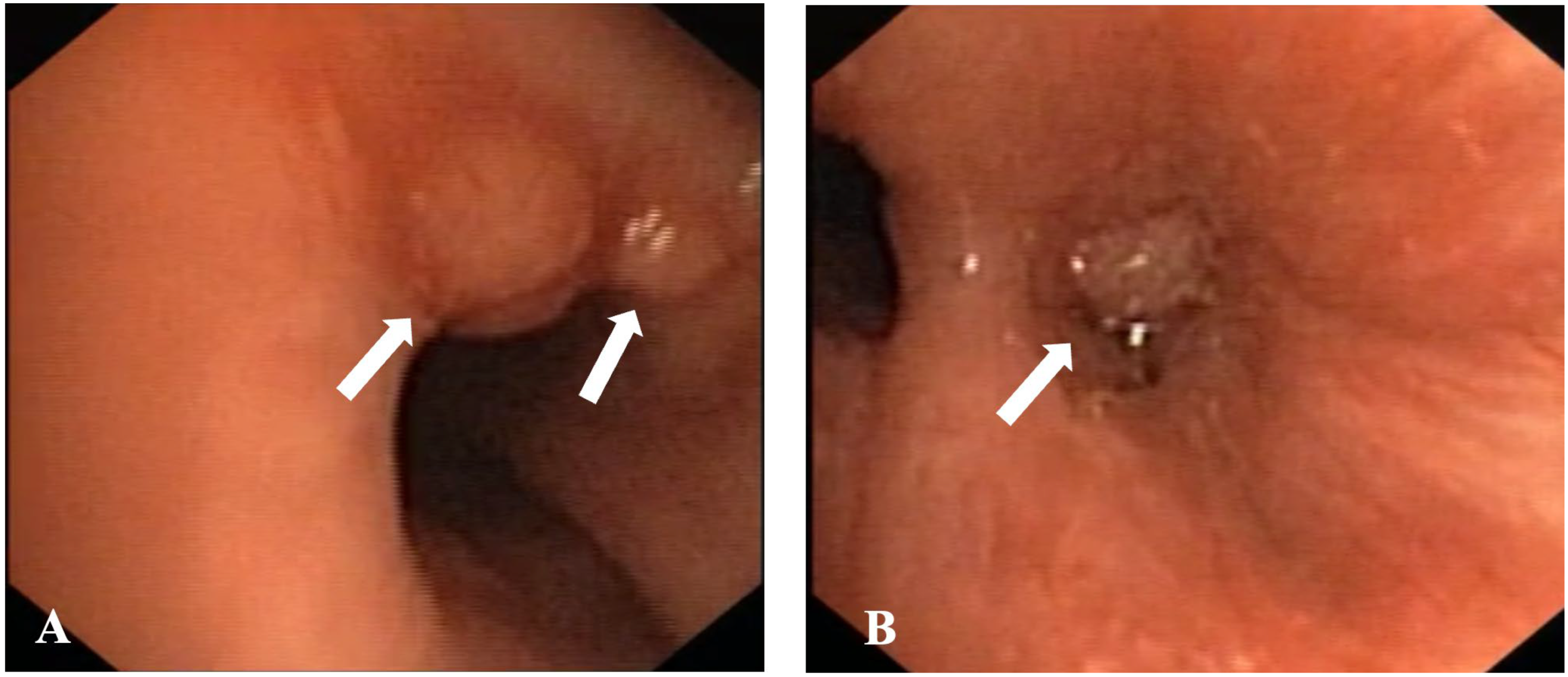 Diagnostics 15 01128 g003