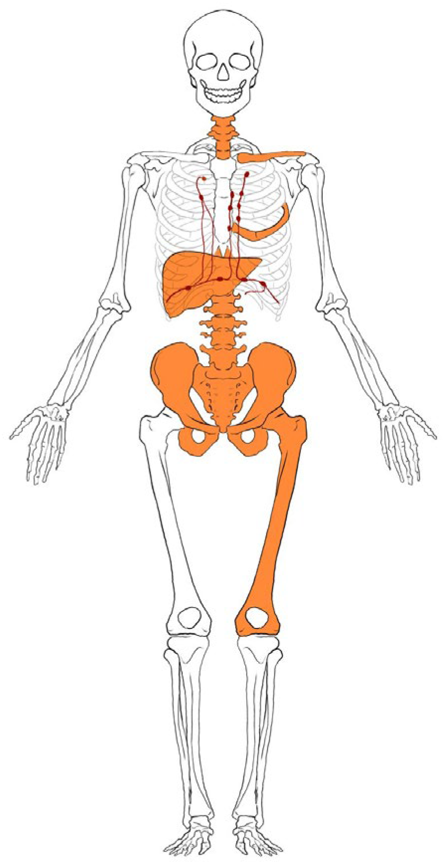 Diagnostics 15 01128 g006
