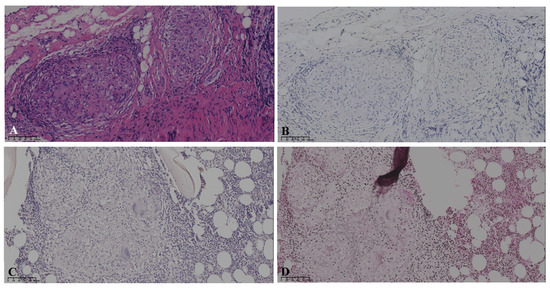 Diagnostics 15 01135 g003
