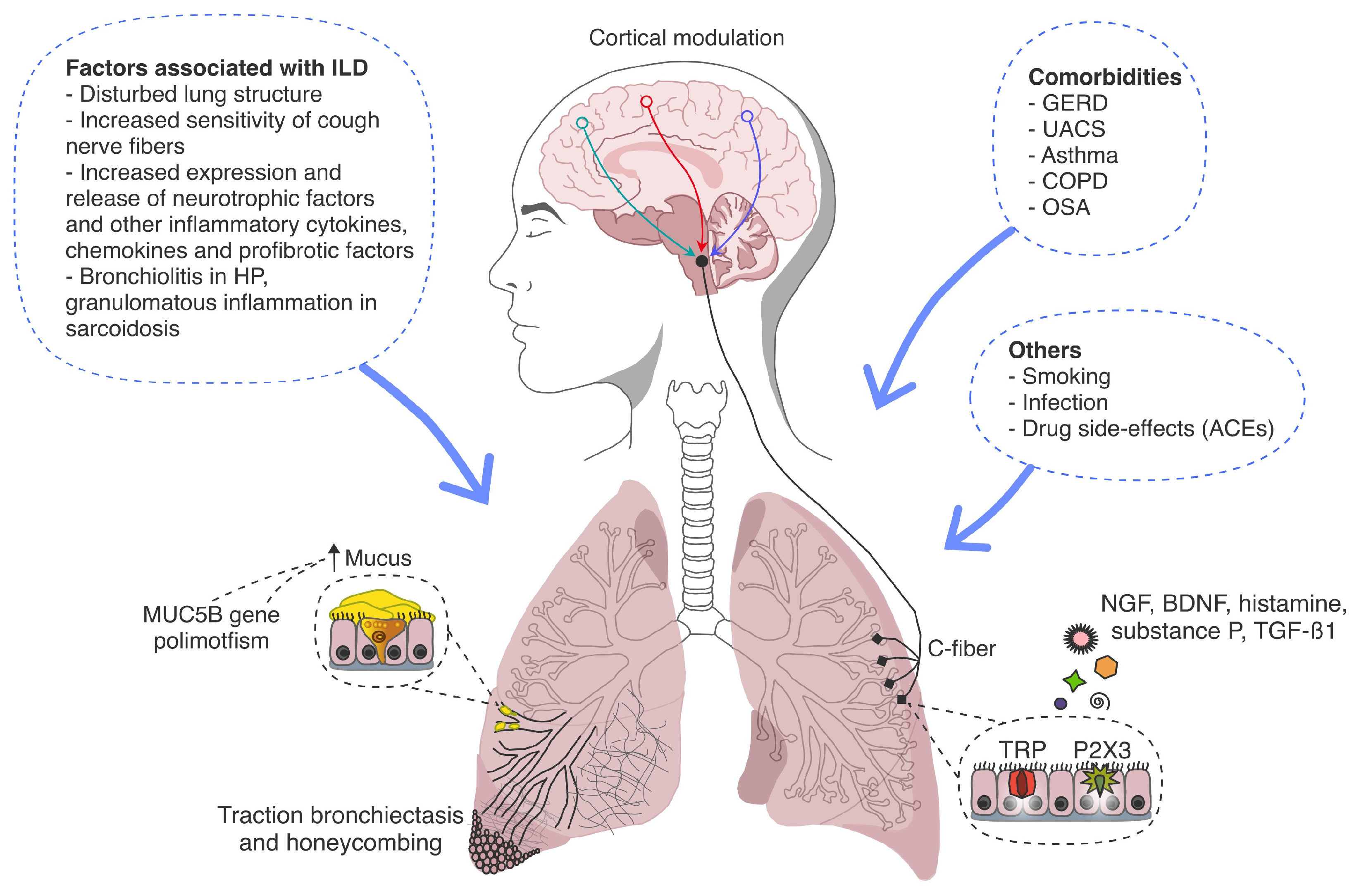 Diagnostics 15 01139 g001