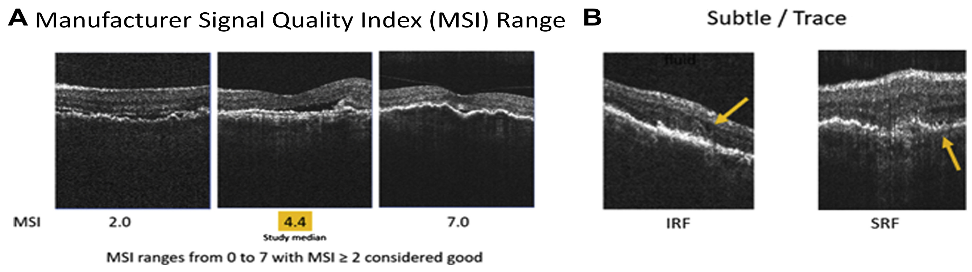 Diagnostics 15 01140 g002