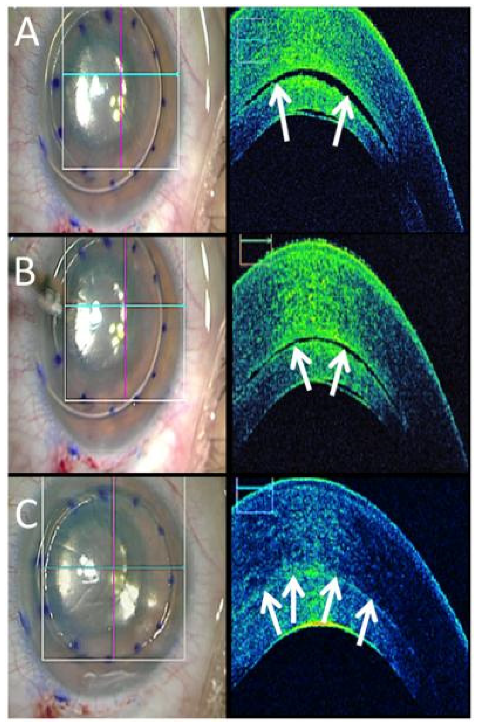 Diagnostics 15 01140 g006