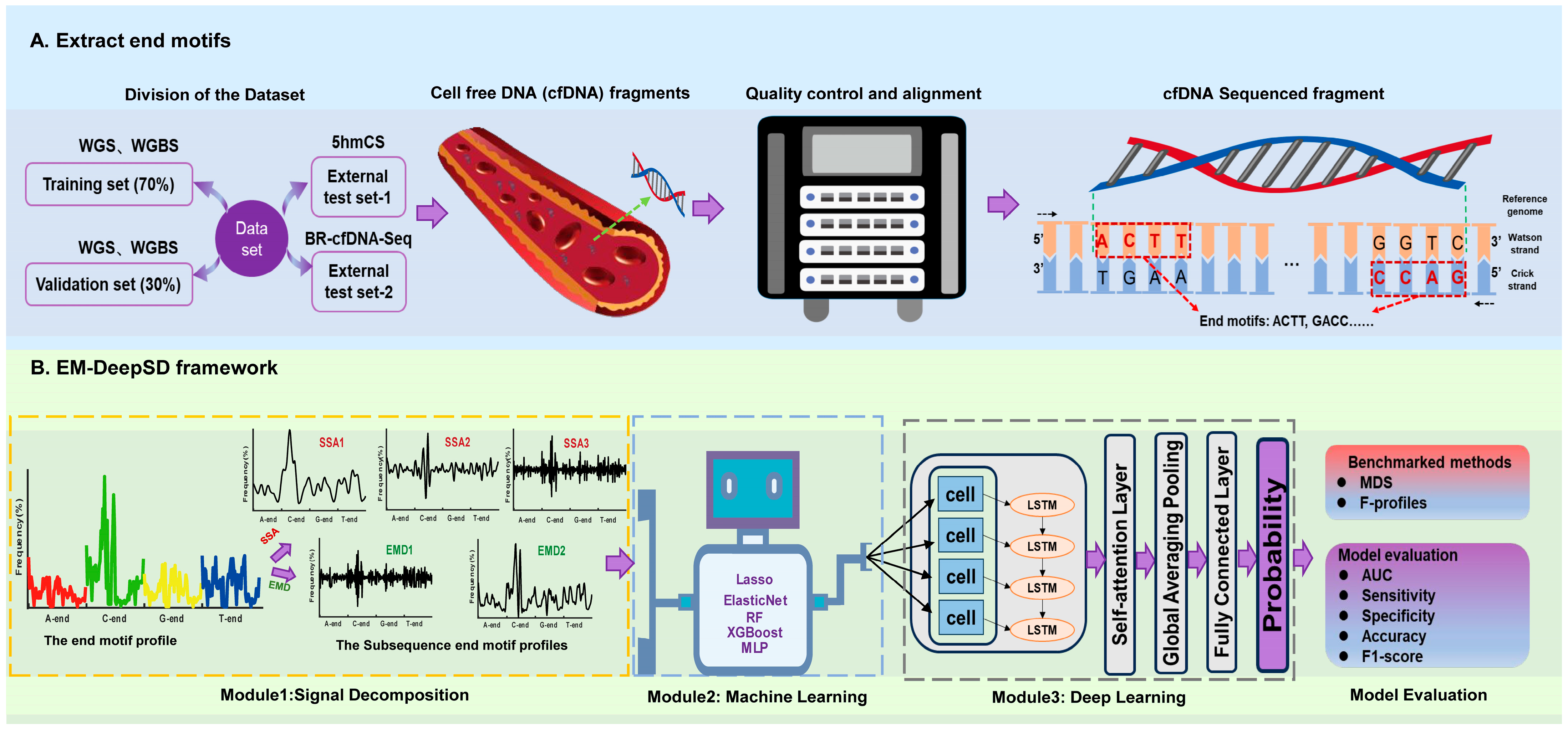 Diagnostics 15 01156 g001