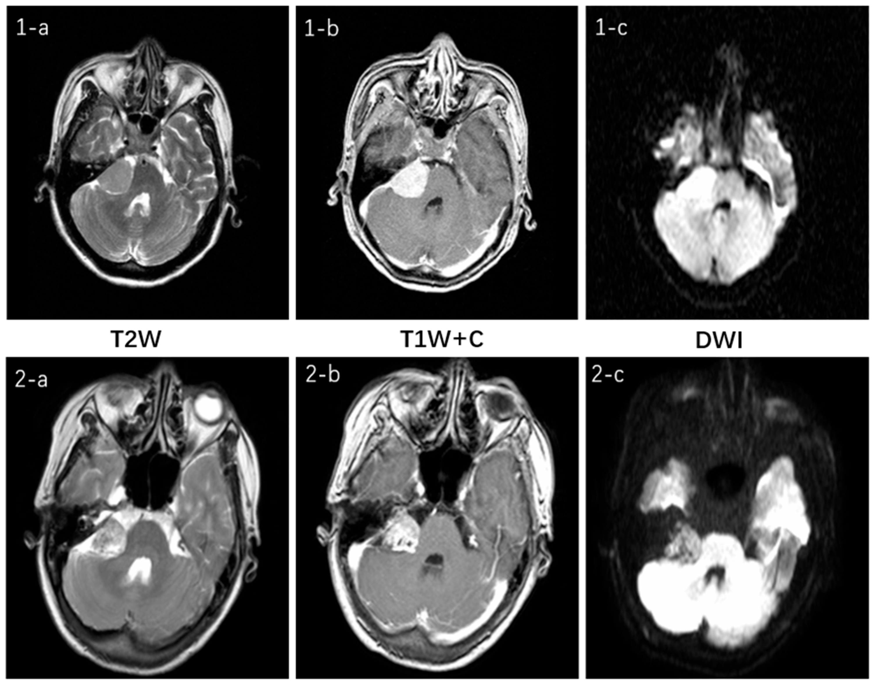 Diagnostics 15 01157 g011