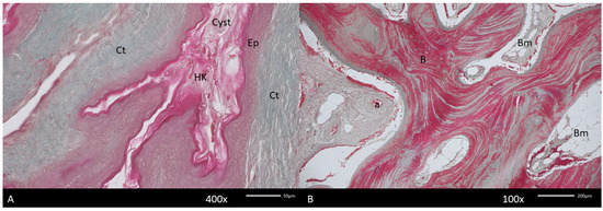Diagnostics 15 01158 g006