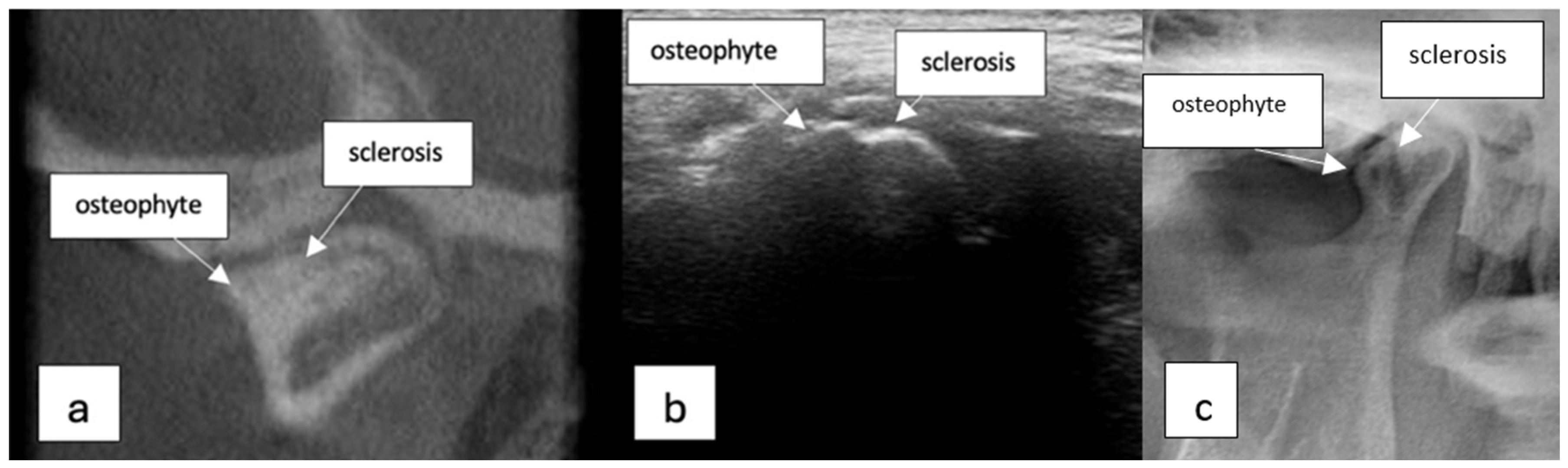 Diagnostics 15 01160 g001