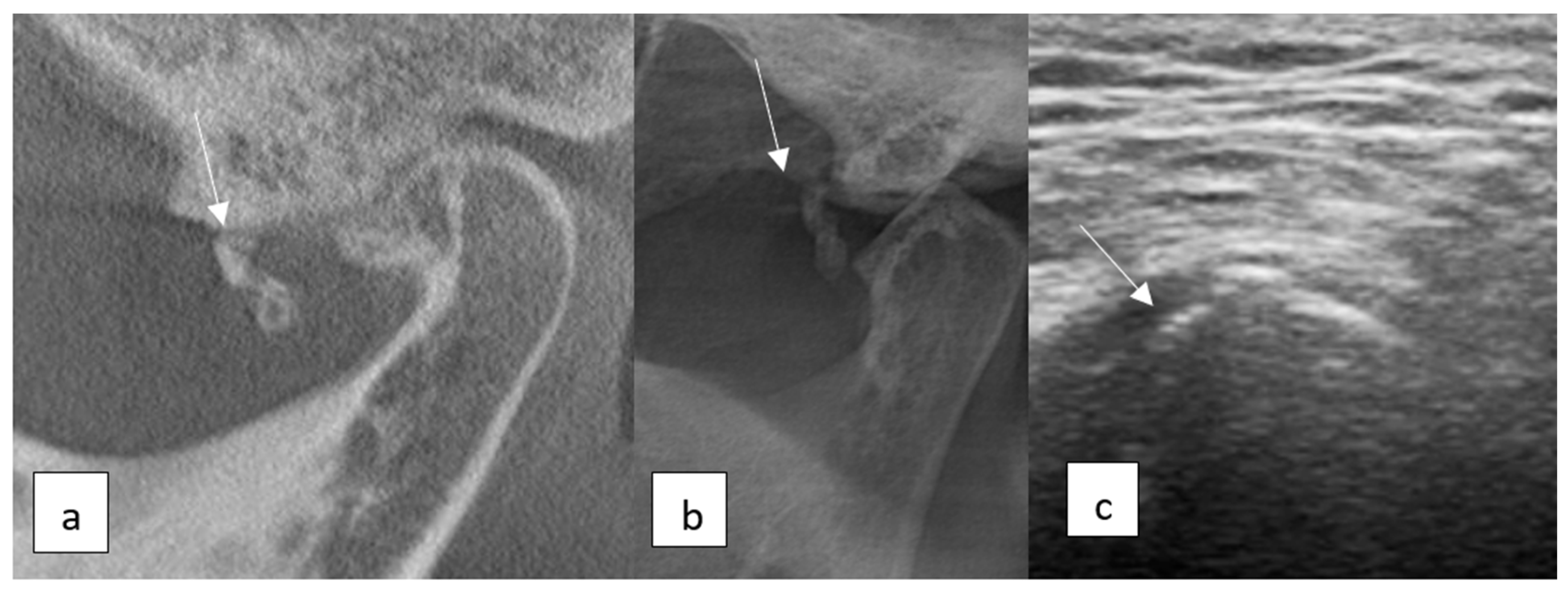 Diagnostics 15 01160 g005