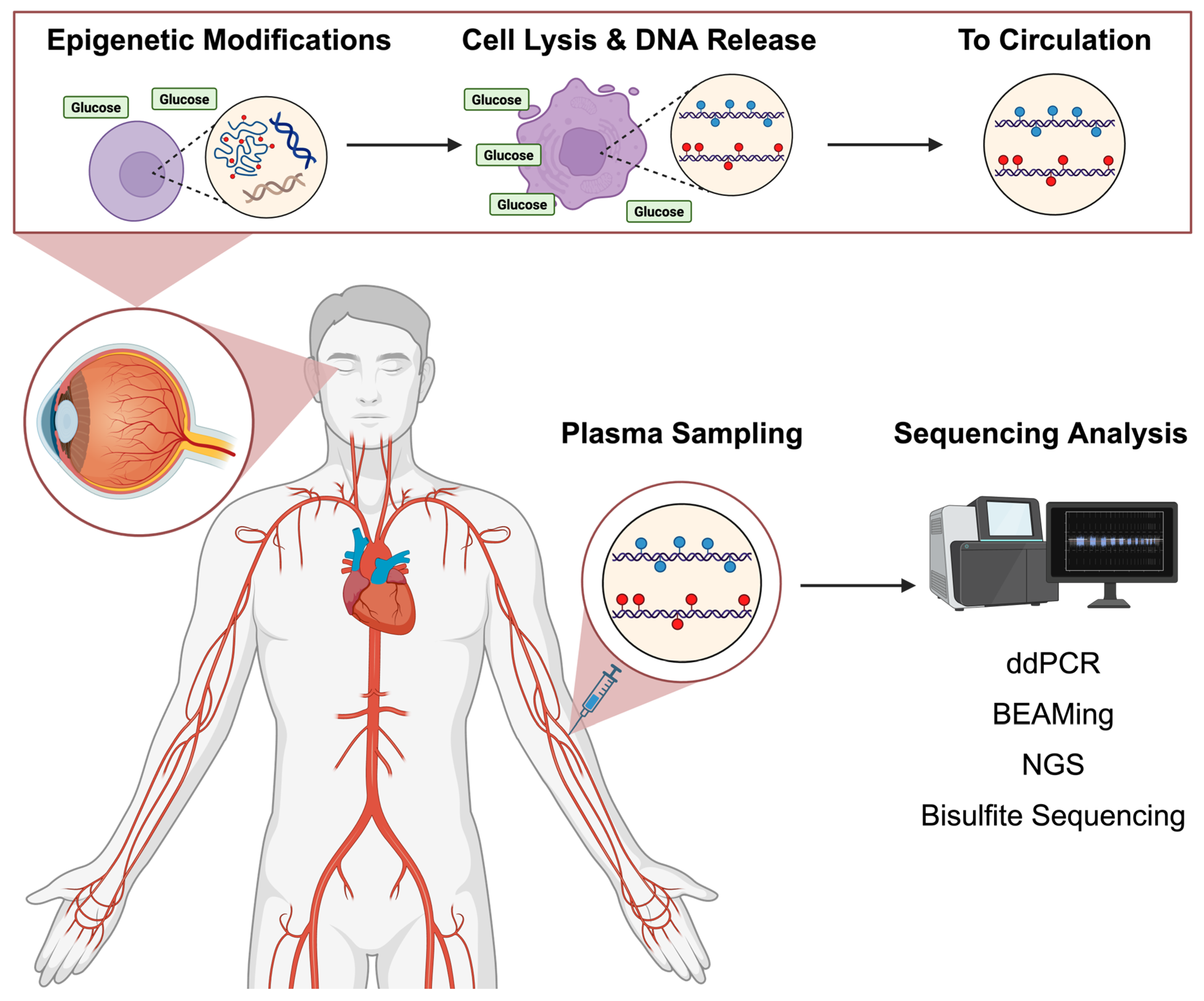 Diagnostics 15 01161 g001