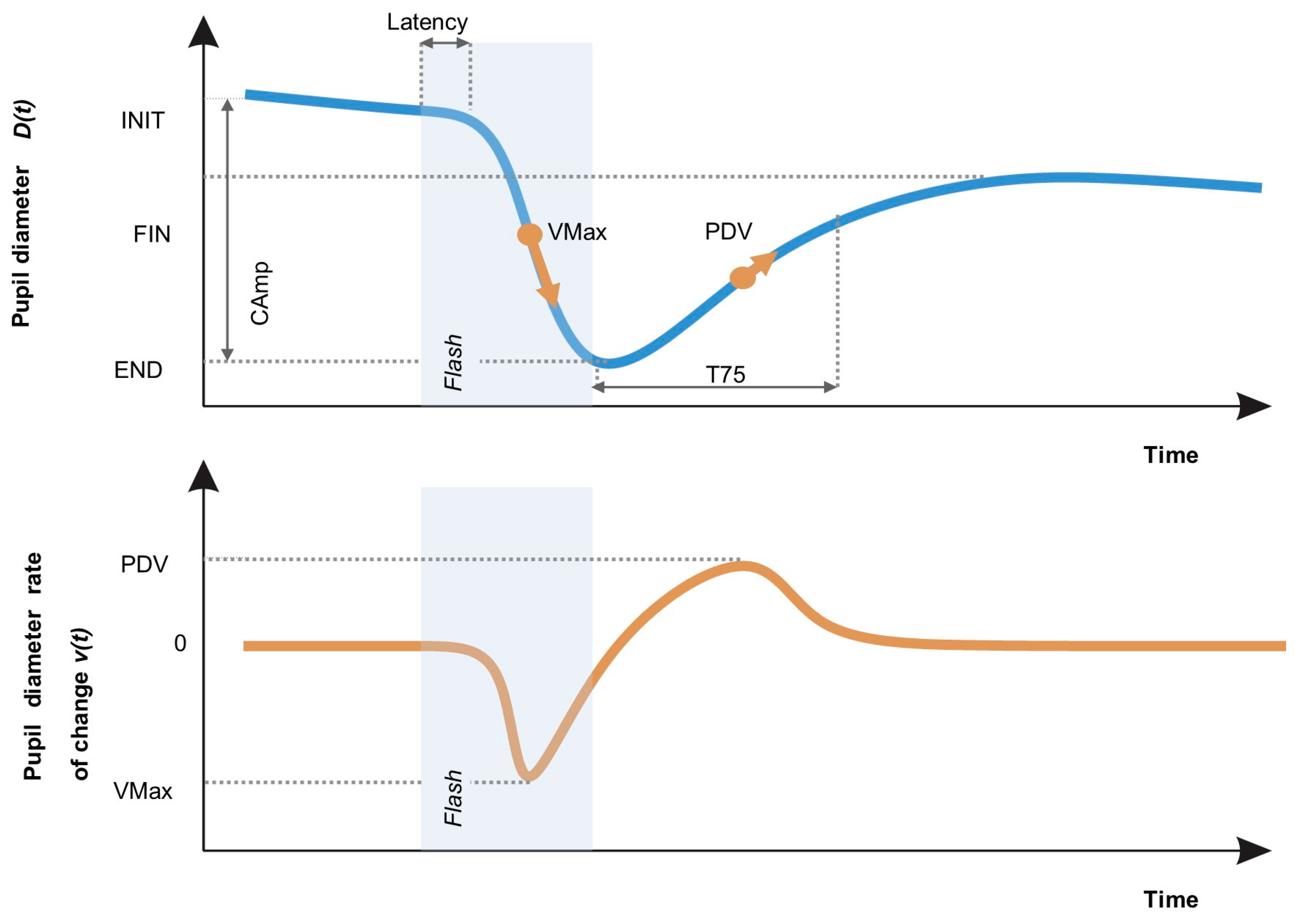 Diagnostics 15 01167 g001
