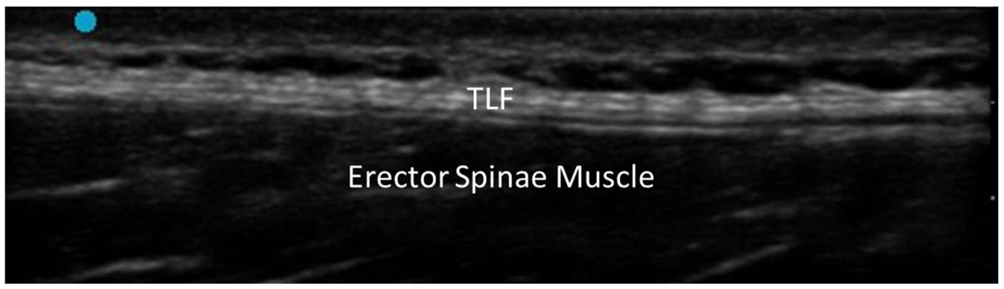 Diagnostics 15 01180 g001